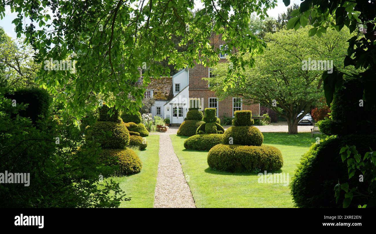 La Manor House di Hemmingford Grey con il suo imponente topiario. Foto Stock
