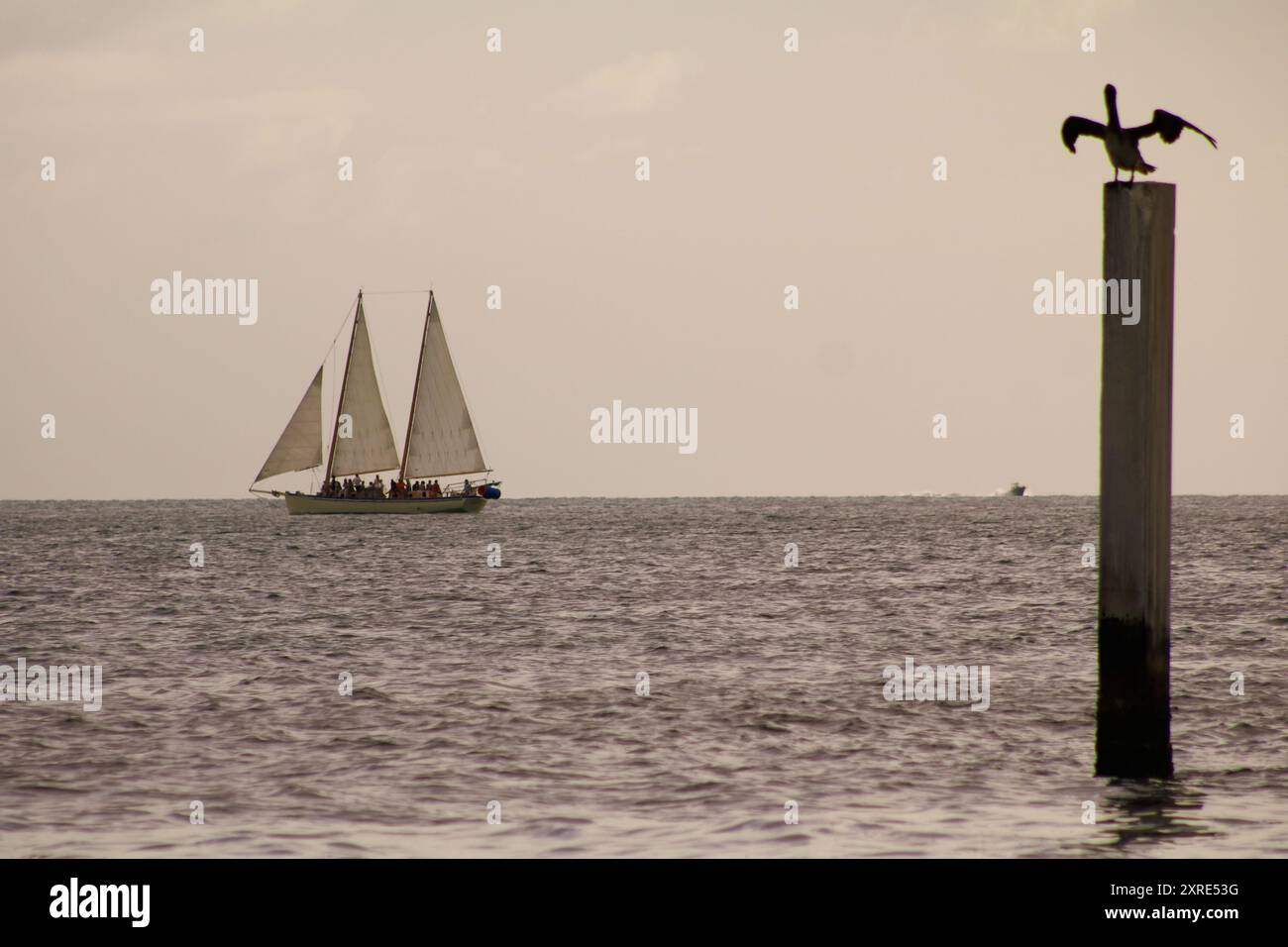 Naviga al largo della costa di Key West Foto Stock