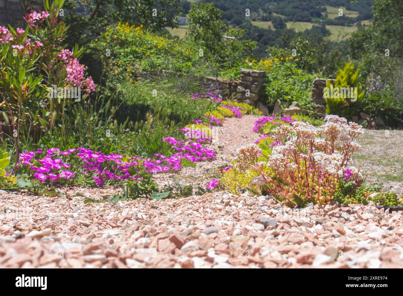 Vista ad angolo basso su una strada di ghiaia con fiori che conducono nella foresta. Diminuire la prospettiva. Messa a fuoco selettiva. Copia spazio. Foto Stock