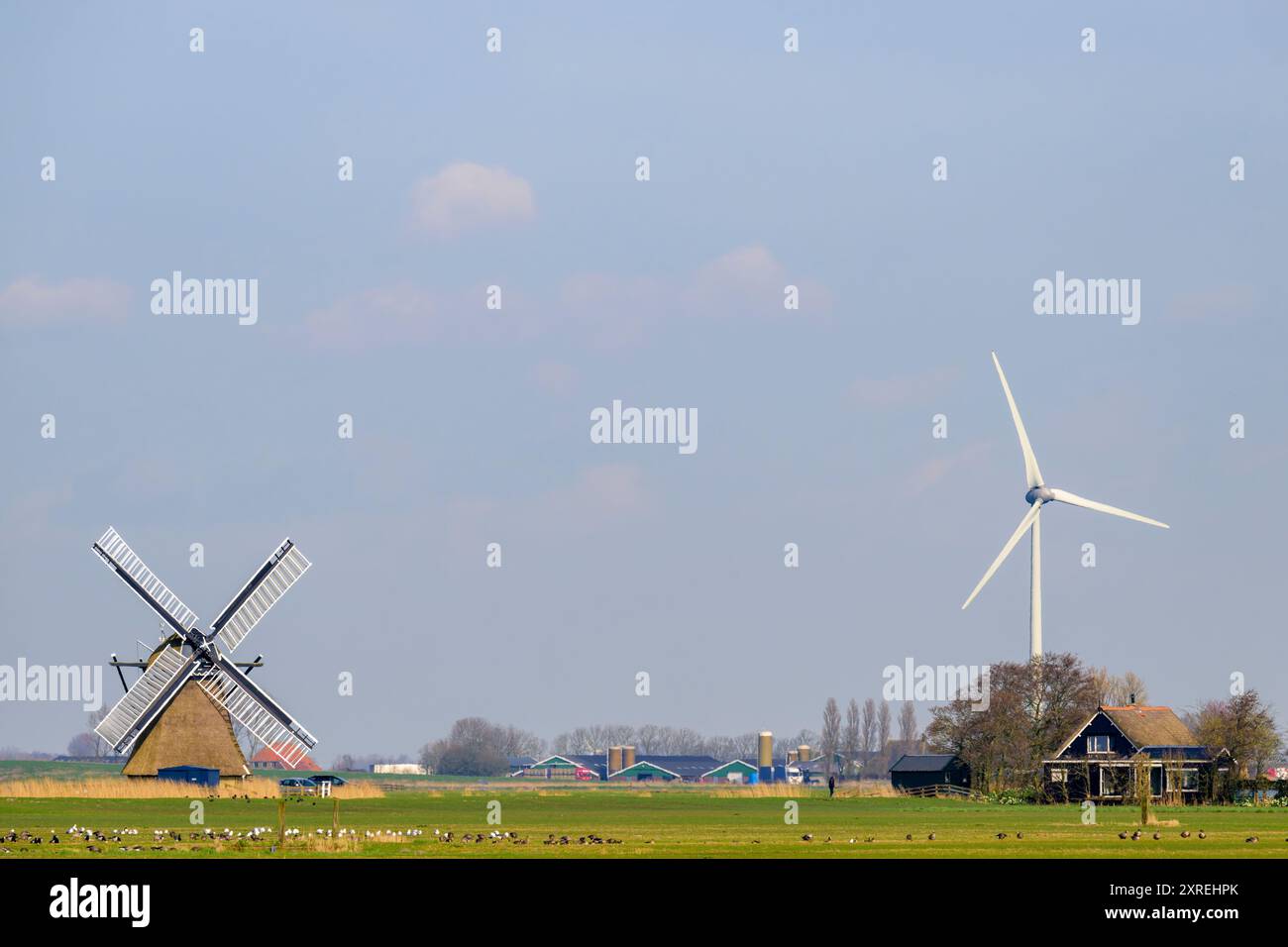 Moderno mulino a vento per l'energia rinnovabile in terreni agricoli insieme al tipico mulino a vento antico. Paesi Bassi. Foto Stock
