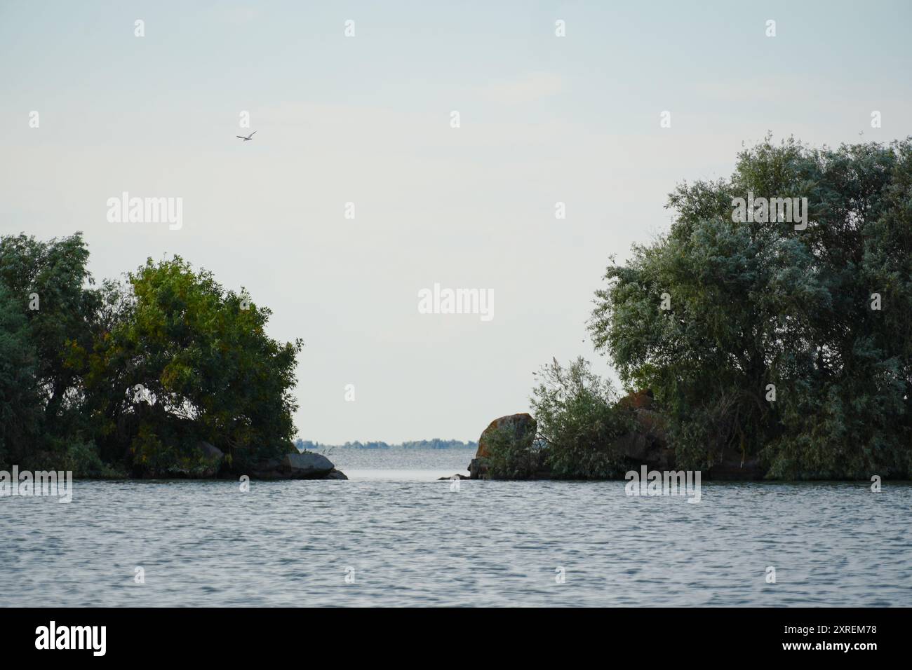 Vista del Mar Nero attraverso un'apertura naturale nel braccio di Sulina, in Romania Foto Stock