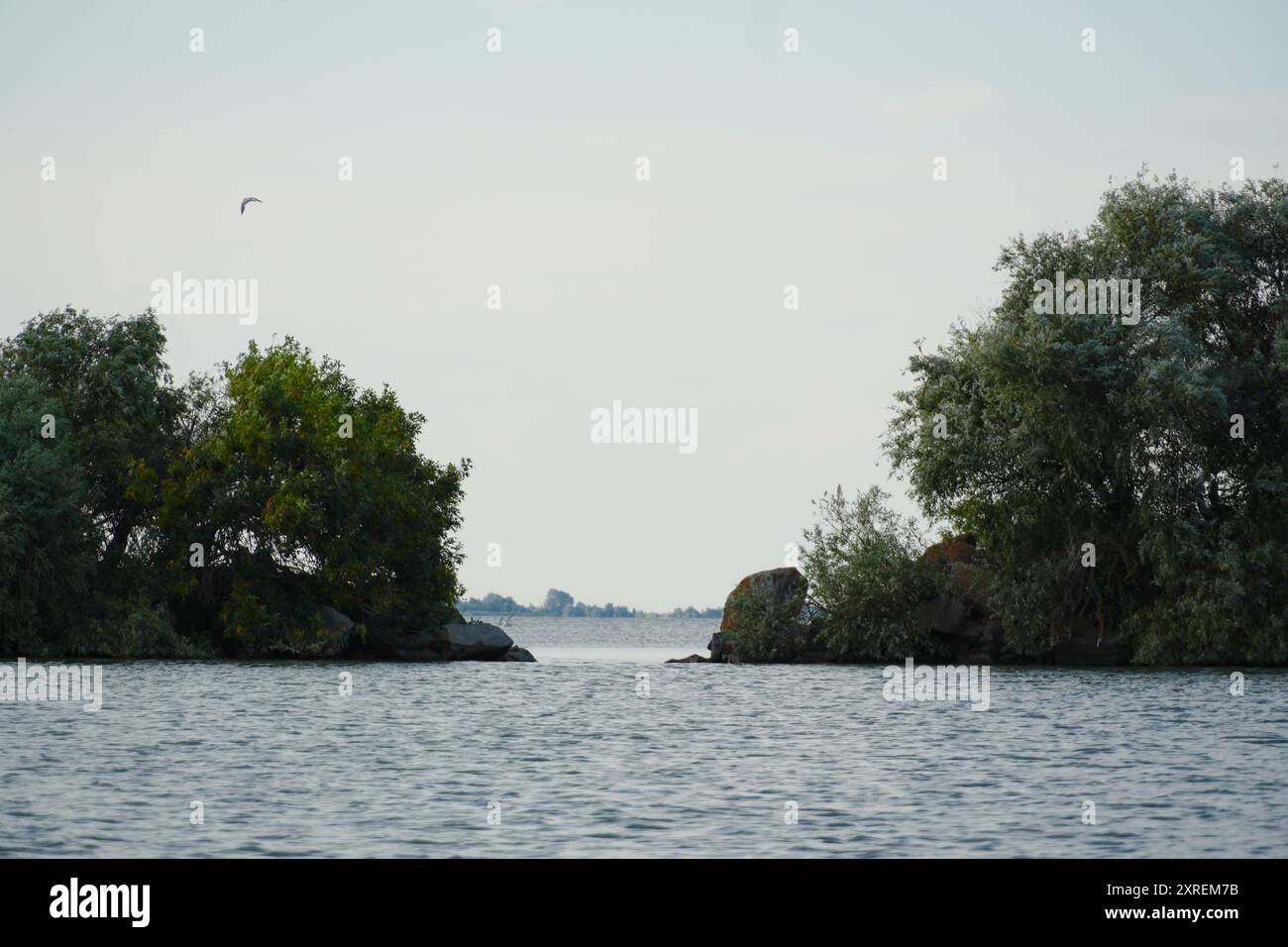Vista del Mar Nero attraverso un'apertura naturale nel braccio di Sulina, in Romania Foto Stock