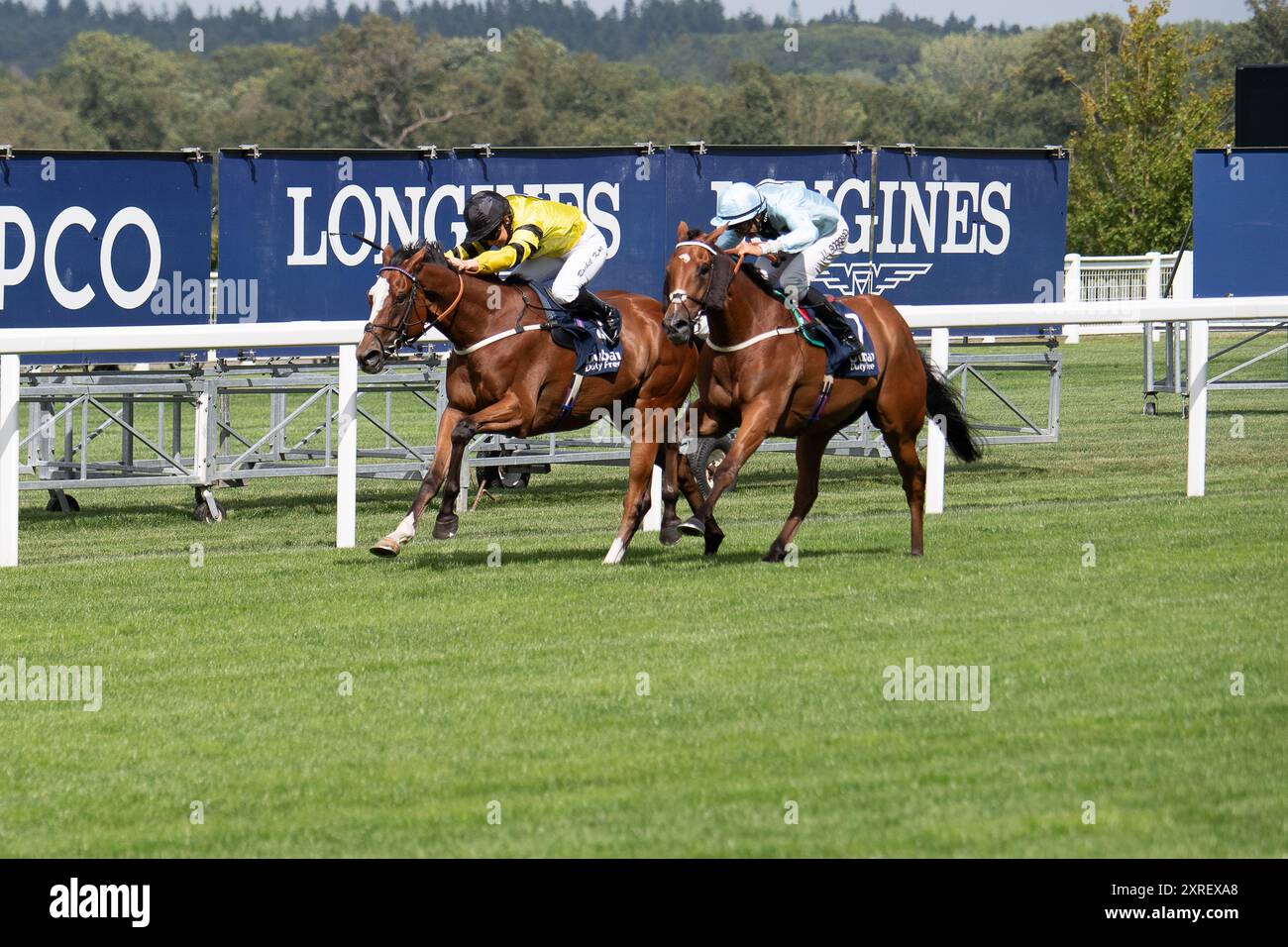 Ascot, Regno Unito. 10 agosto 2024. LA FOLLIA guidata da Rachel King vince la Dubai Duty Free Shergar Cup Challenge all'Ascot Racecourse presso la Duty Free Shergar Cup. Proprietario McNeill Family & Niall Farrell, allenatore Alan King, Barbury Castle, allevatore Star Pointe Ltd, Sponsor ultima Business Solutions. Crediti: Maureen McLean/Alamy Live News Foto Stock