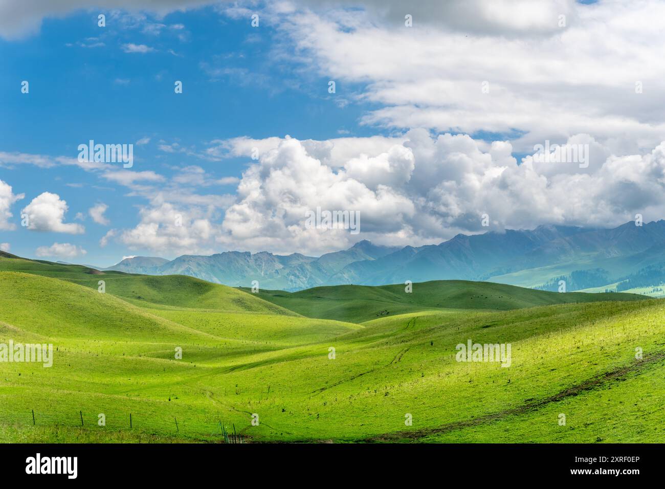 Rolling Meadows sotto Xinjiang Skies Foto Stock