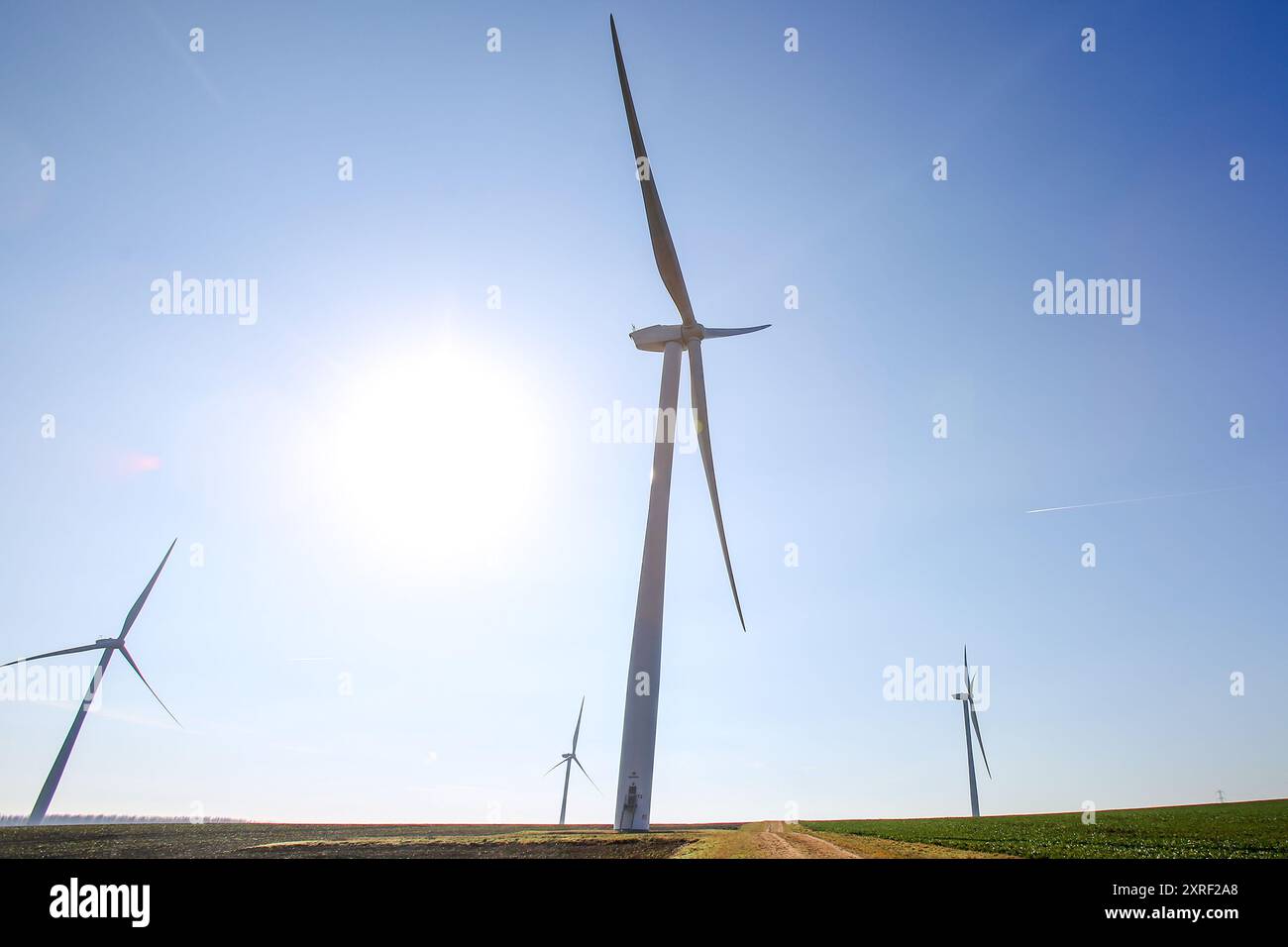 Hook Moor Wind Farm, Aberford, Leeds, West Yorkshire in inverno luminoso. Il parco eolico corre lungo il bivio tra la M1 e la A1. Foto Stock