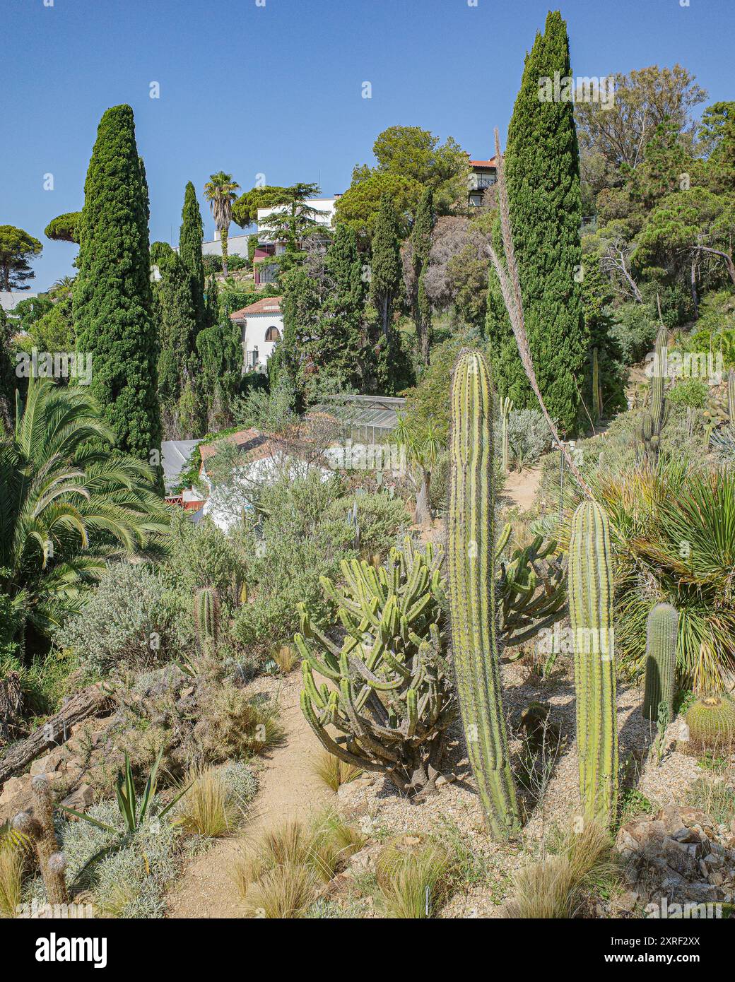 Blanes, Spagna - 10 agosto 2024: I giardini botanici Marimurtra a Blanes, Costa Brava, Catalogna Foto Stock