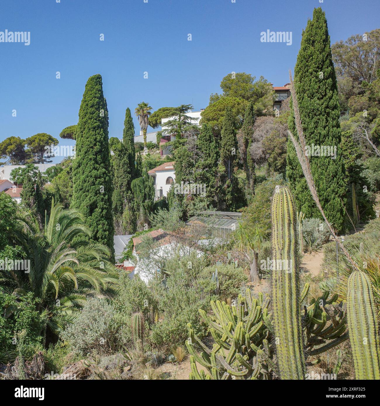 Blanes, Spagna - 10 agosto 2024: I giardini botanici Marimurtra a Blanes, Costa Brava, Catalogna Foto Stock