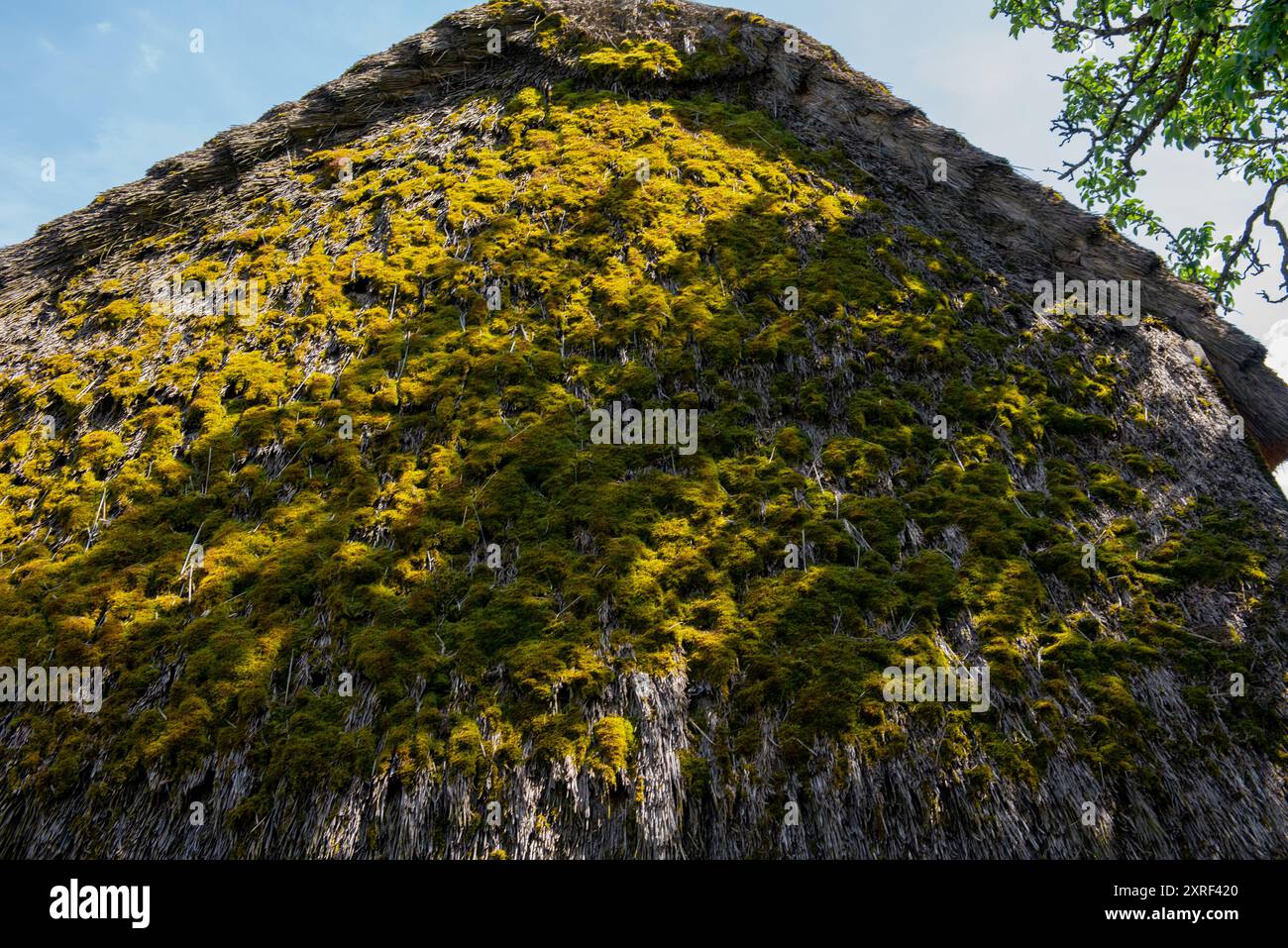 museo all'aperto. Tetto di un vecchio edificio residenziale ungherese tradizionale a skanzen. Foto Stock