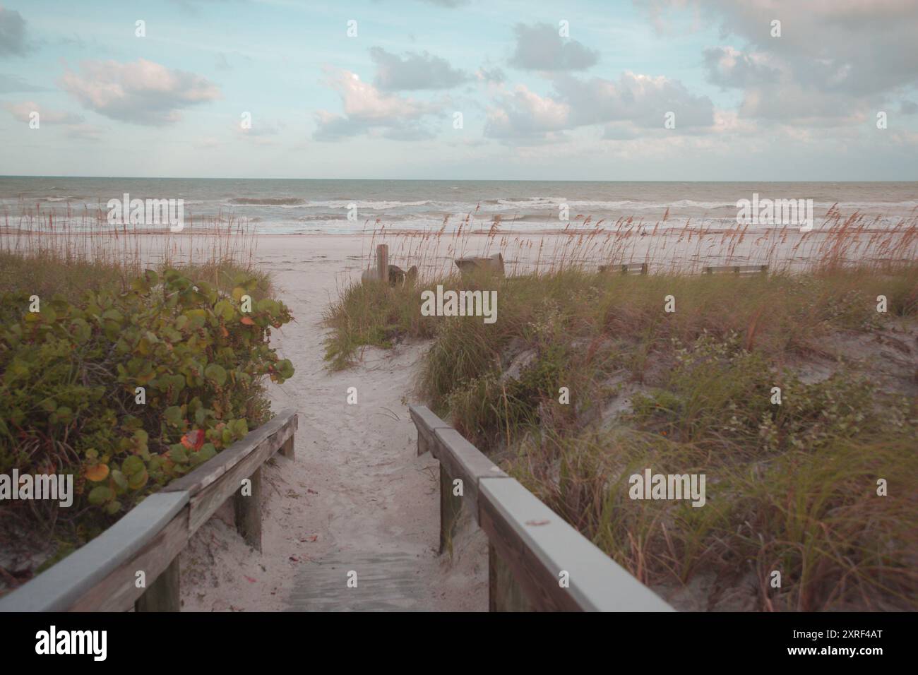 Vista a ovest del sole mattutino sul ponte di accesso alla spiaggia di legno. A Pass-a-Grille Beach a St. Pete Beach, Florida. Avena di mare e sabbia ai lati Foto Stock
