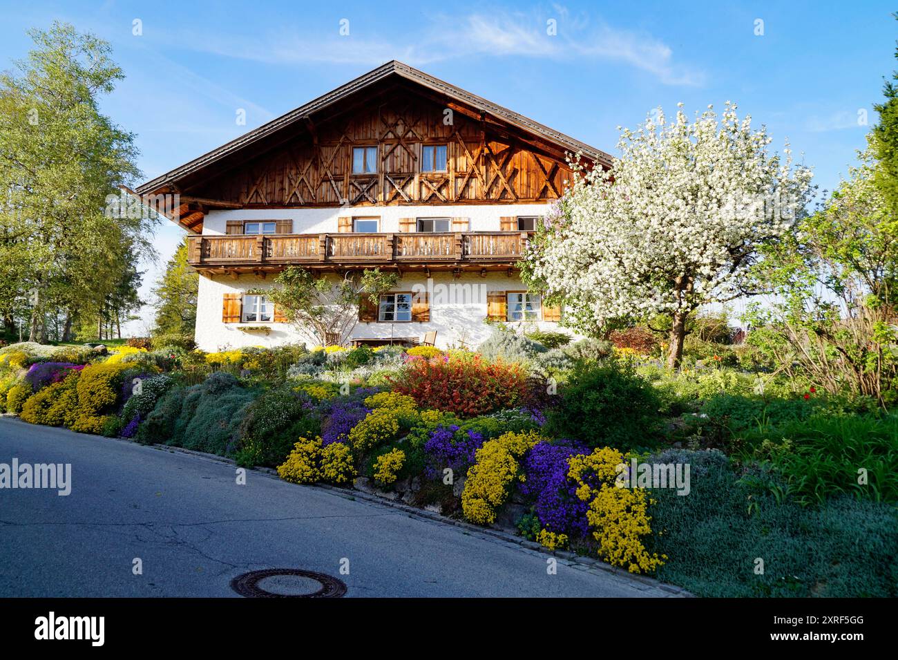 La pittoresca campagna alpina di Schwangau nelle Alpi bavaresi in una giornata di primavera soleggiata (Baviera, Germania) Foto Stock