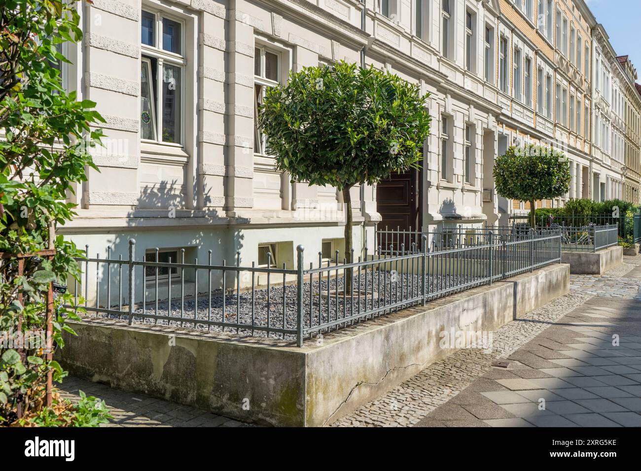 Cortile anteriore con recinzione metallica, ciottoli e ciliegio alloro in estate Foto Stock