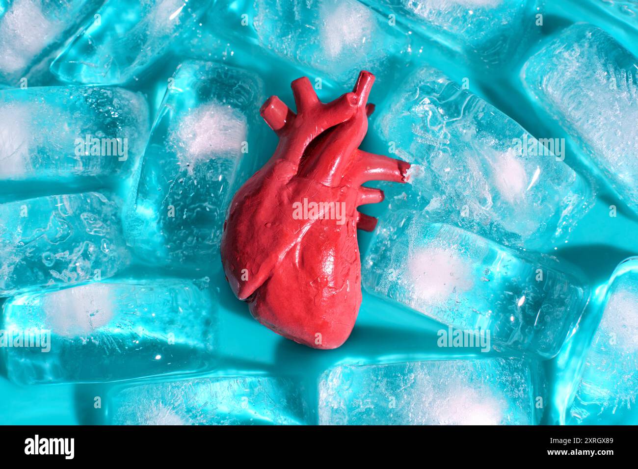 Modello anatomicamente corretto del cuore umano circondato da cubetti di ghiaccio su sfondo verde acqua. Importanza del congelamento degli organi per il trapianto. Foto Stock