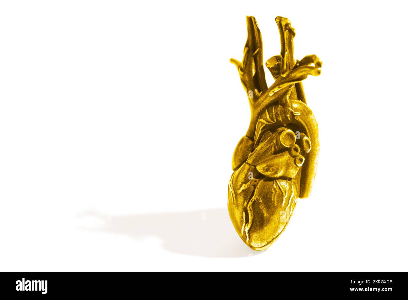 Rappresentazione artistica di un modello anatomico di cuore in oro, enfatizzando la sua complessa anatomia e il suo design. Perfetto per uso decorativo o didattico Foto Stock