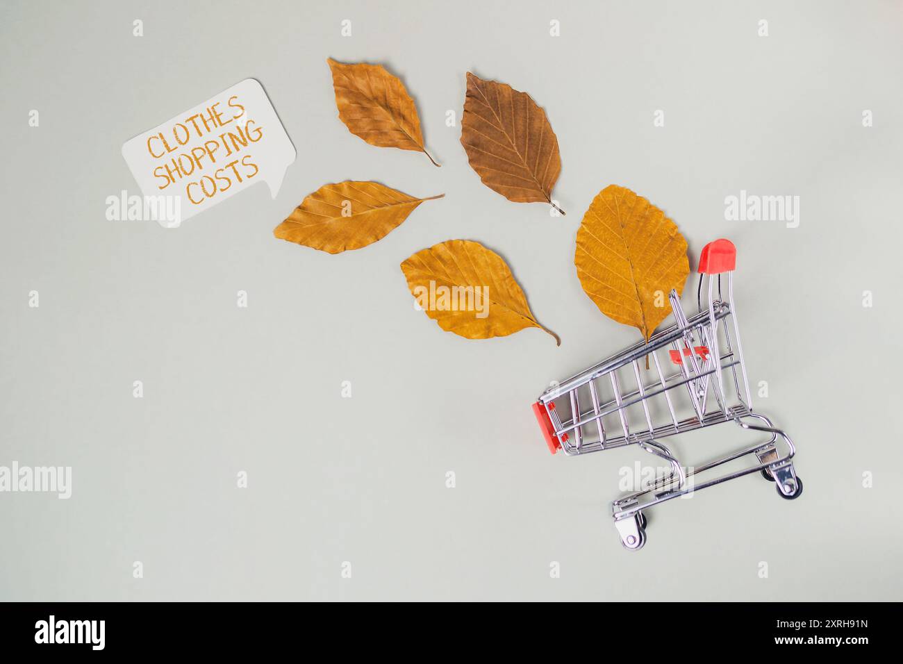 Un carrello della spesa è su un tavolo con foglie e un cartello che dice che gli acquisti di vestiti costano. Foto Stock