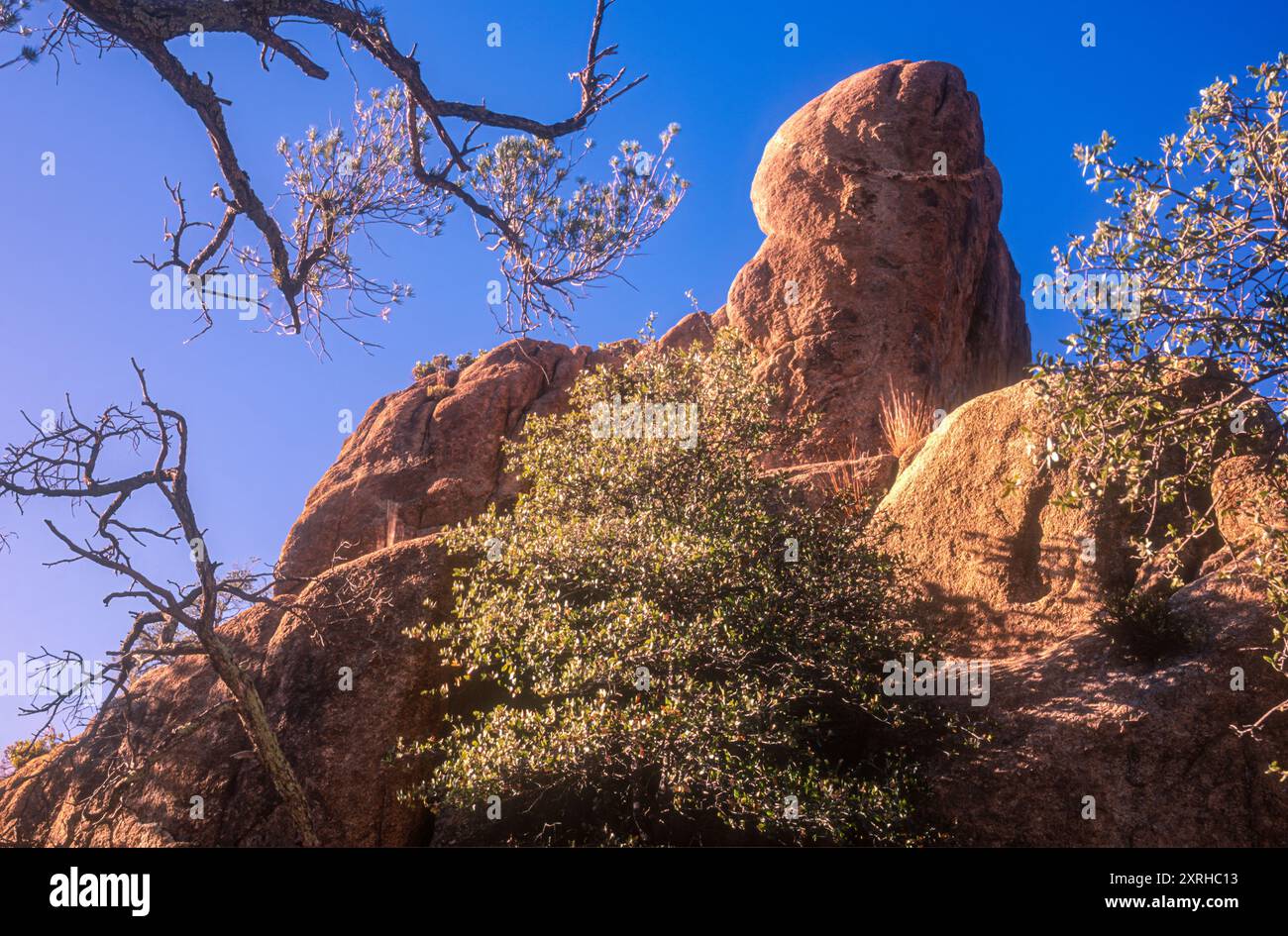 Il paesaggio di Granite Dells vicino al lago Watson a Prescott, Arizona. (USA) Foto Stock