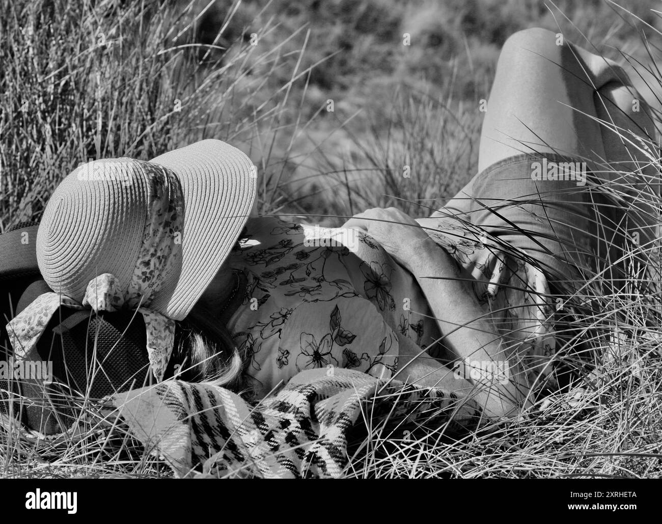 Una bella signora sdraiata nell'erba, in un caldo giorno d'estate. Foto Stock