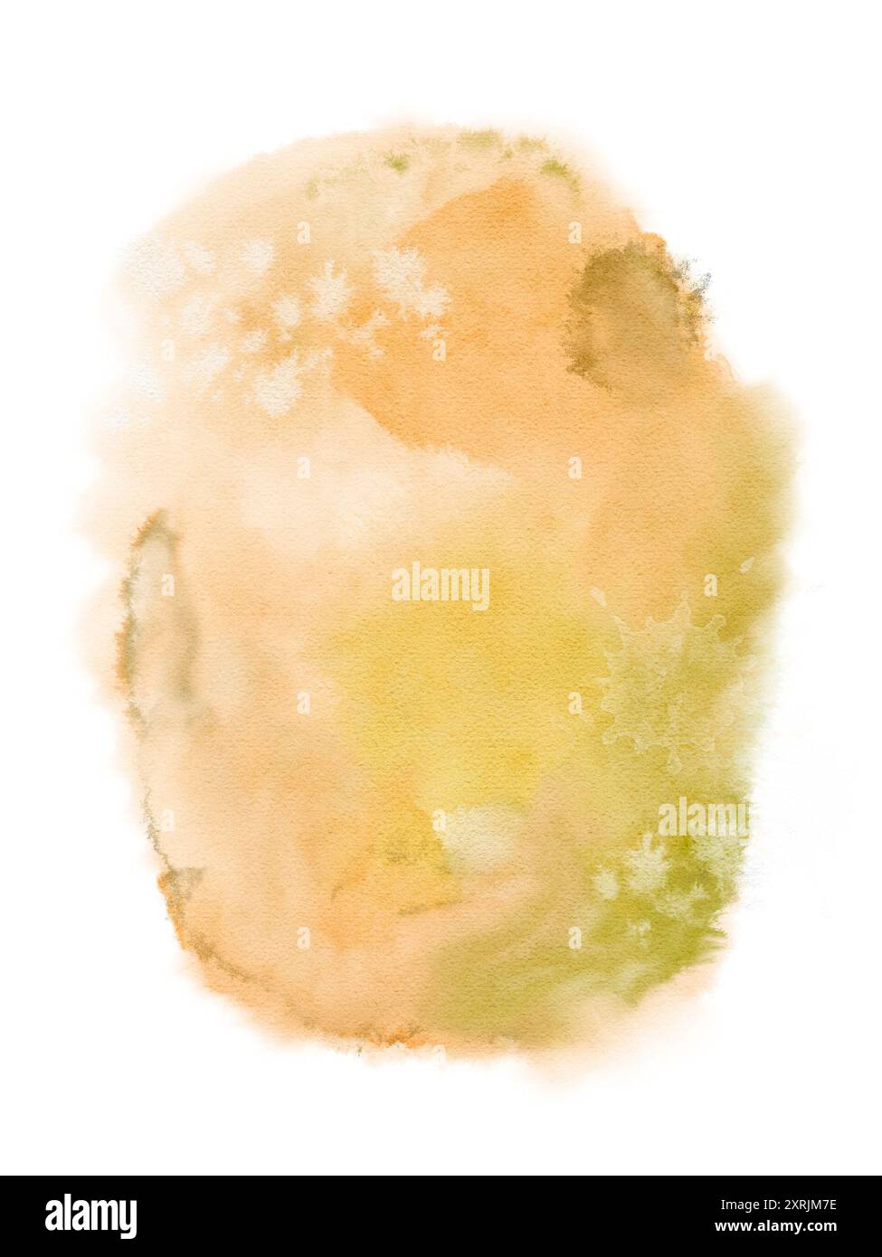 Si tratta di un'illustrazione delicata che mostra forme organiche completate da colori caldi e terrosi. Oggetto isolato su sfondo bianco per la progettazione di opuscoli, volantini, e-pack, etichette o pubblicità. Arte digitale in stile acquerello. Foto Stock