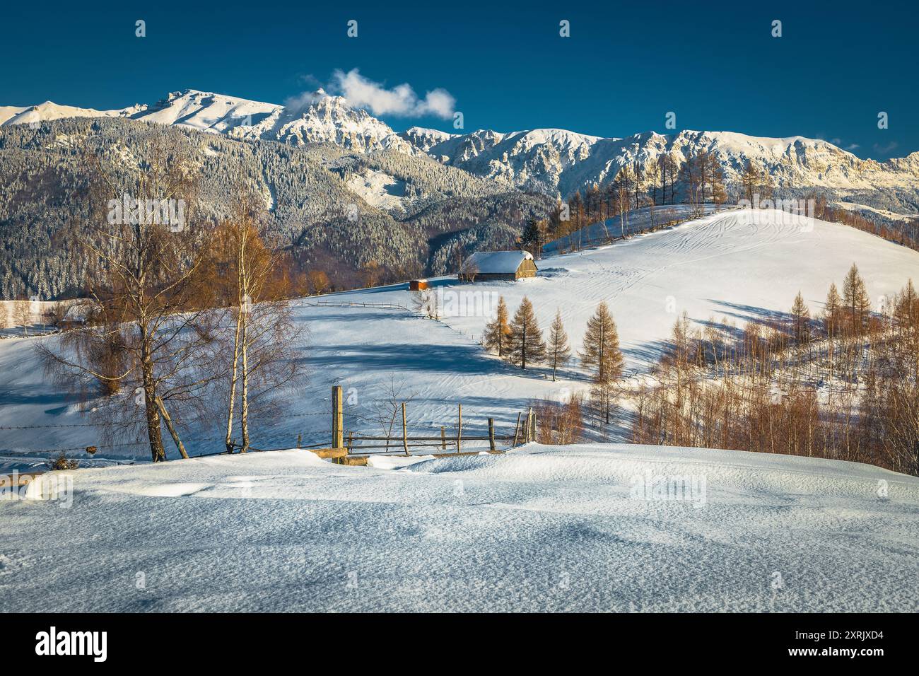 Favoloso paesaggio invernale con piste innevate e spettacolari montagne sullo sfondo, montagne di Bucegi, Carpazi, Romania, Europa Foto Stock