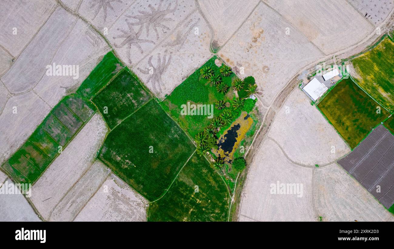 vista del motivo di colore corto e verde e grigio del drone Foto Stock