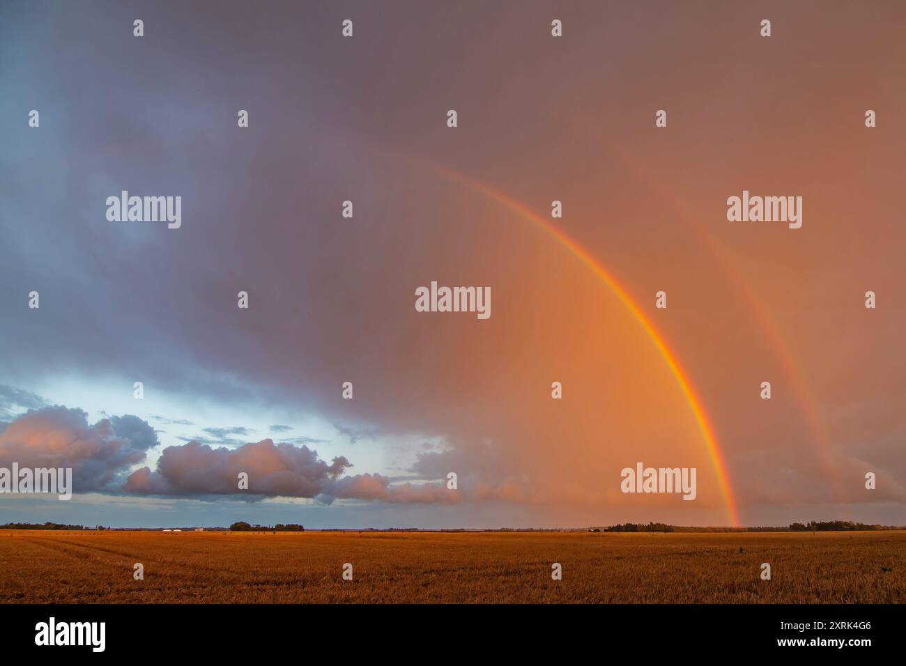 Doppio arcobaleno su un campo. Stormy Clouds on Sunset Light. National Find a Rainbow Day, World Rainbow Day. Giornata internazionale dell'orgoglio LGBT Foto Stock