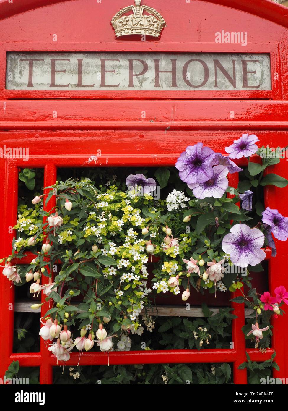 Chiosco telefonico riutilizzato con esposizione di fiori estivi, Bath, Somerset. Temi: Riutilizzo, riciclaggio, evoluzione, cambiamento, pensiero nuovo Foto Stock