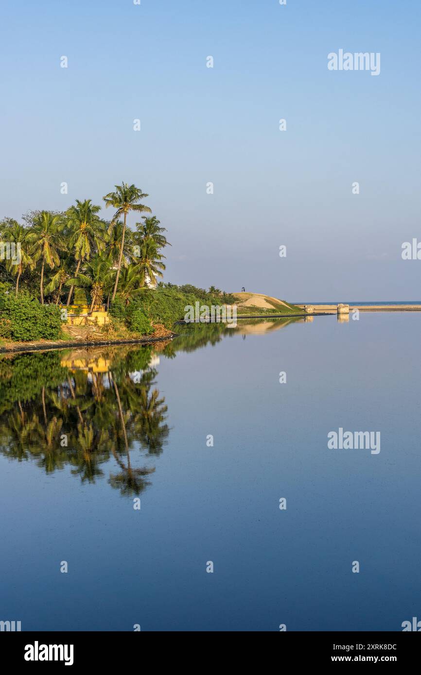 Estuario del fiume Cooum sparato dal ponte Napier a Chennai, India. Alberi che si riflettono nell'acqua. Foto Stock