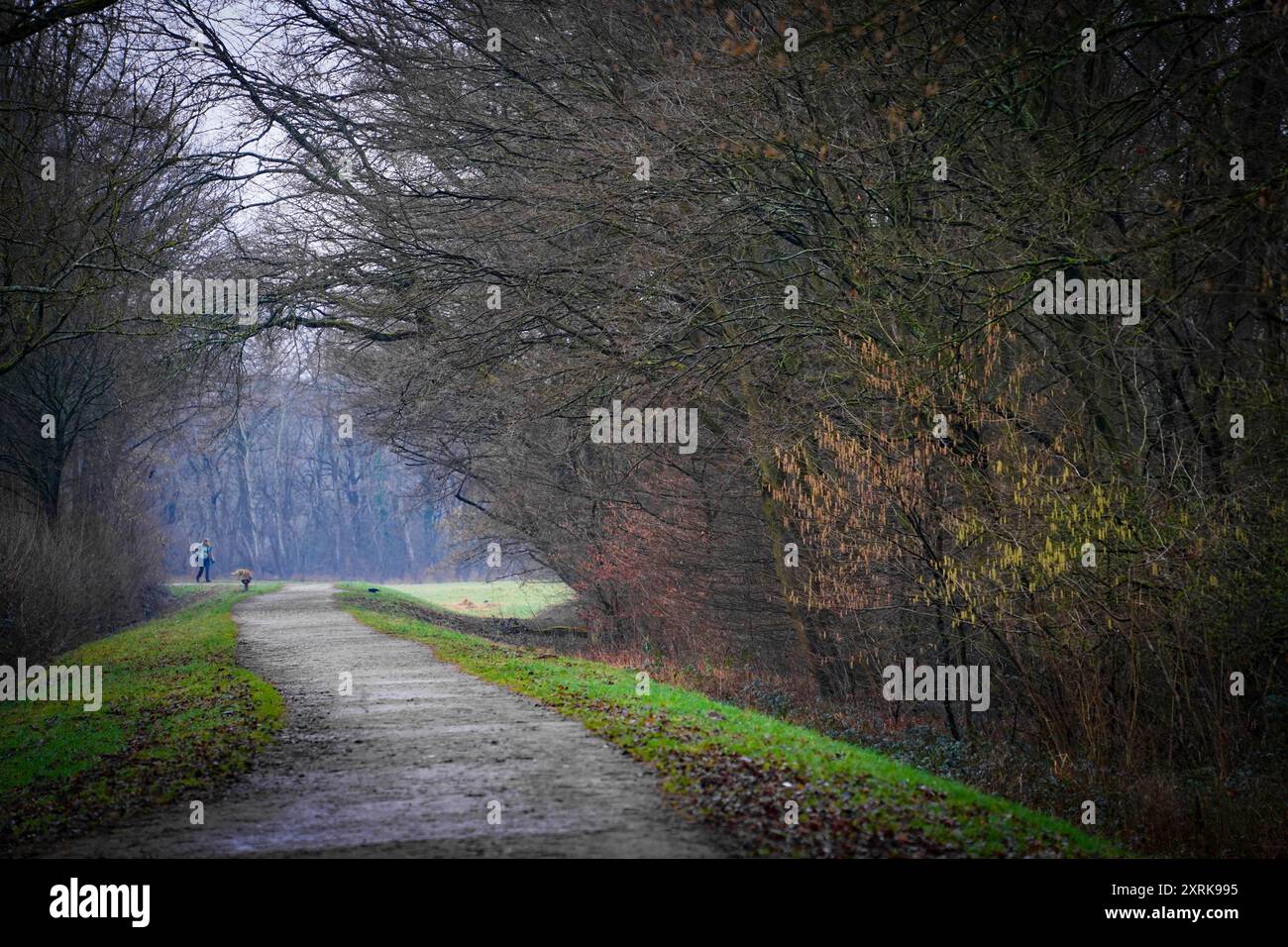 Percorso vuoto in un paesaggio Foto Stock