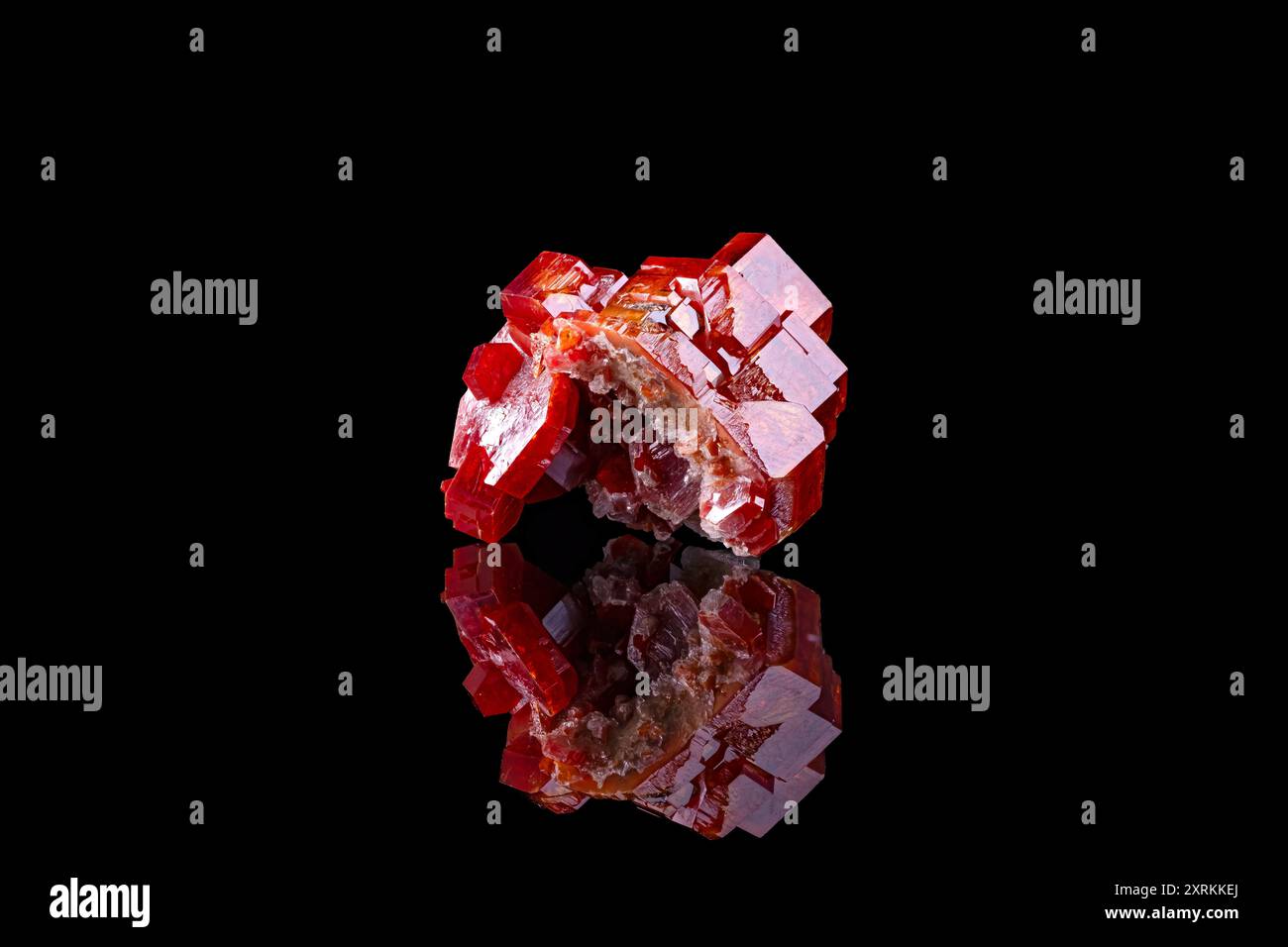 Vanadinite rossa isolata, campione di Mibladen, Marocco. fotografia isolata su sfondo nero. dettagli macro primi piani in cristallo minerale non lucidato s Foto Stock