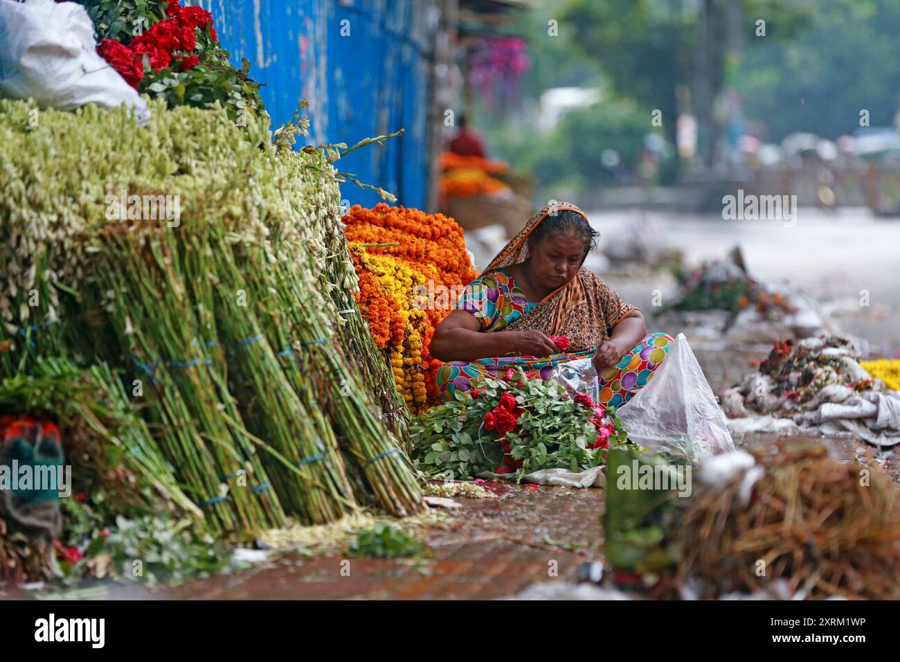 Una donna anziana raccoglie buoni fiori da fiori abbandonati da vendere per sostenere le sue spese di vita, Dacca, Bangladesh, 30 luglio 2024. Foto Stock
