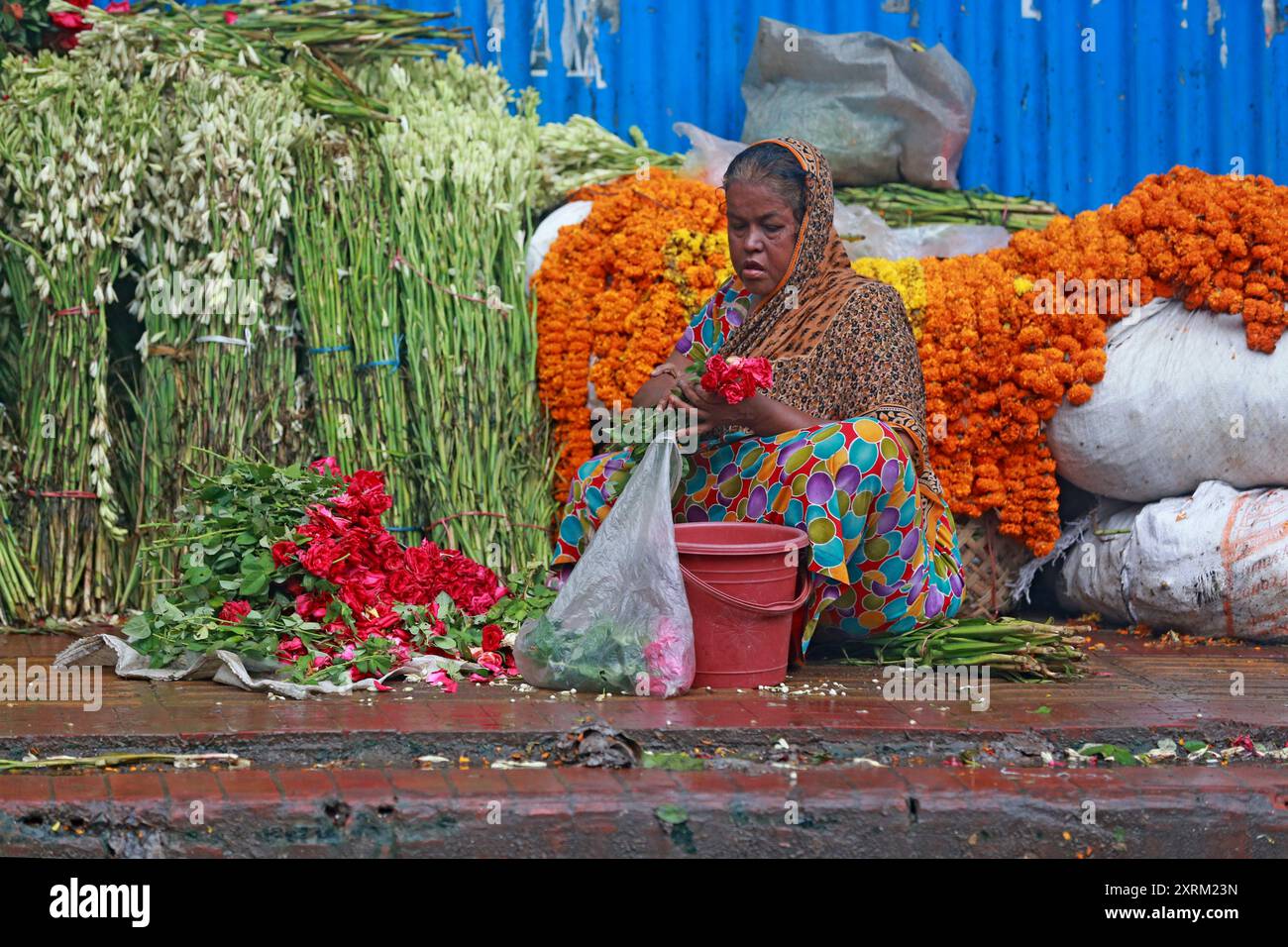 Una donna anziana raccoglie buoni fiori da fiori abbandonati da vendere per sostenere le sue spese di vita, Dacca, Bangladesh, 30 luglio 2024. Foto Stock