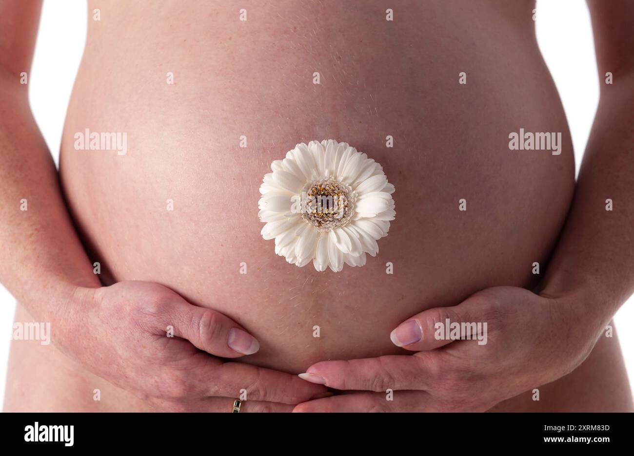 Pancia incinta con un fiore da vicino Foto Stock
