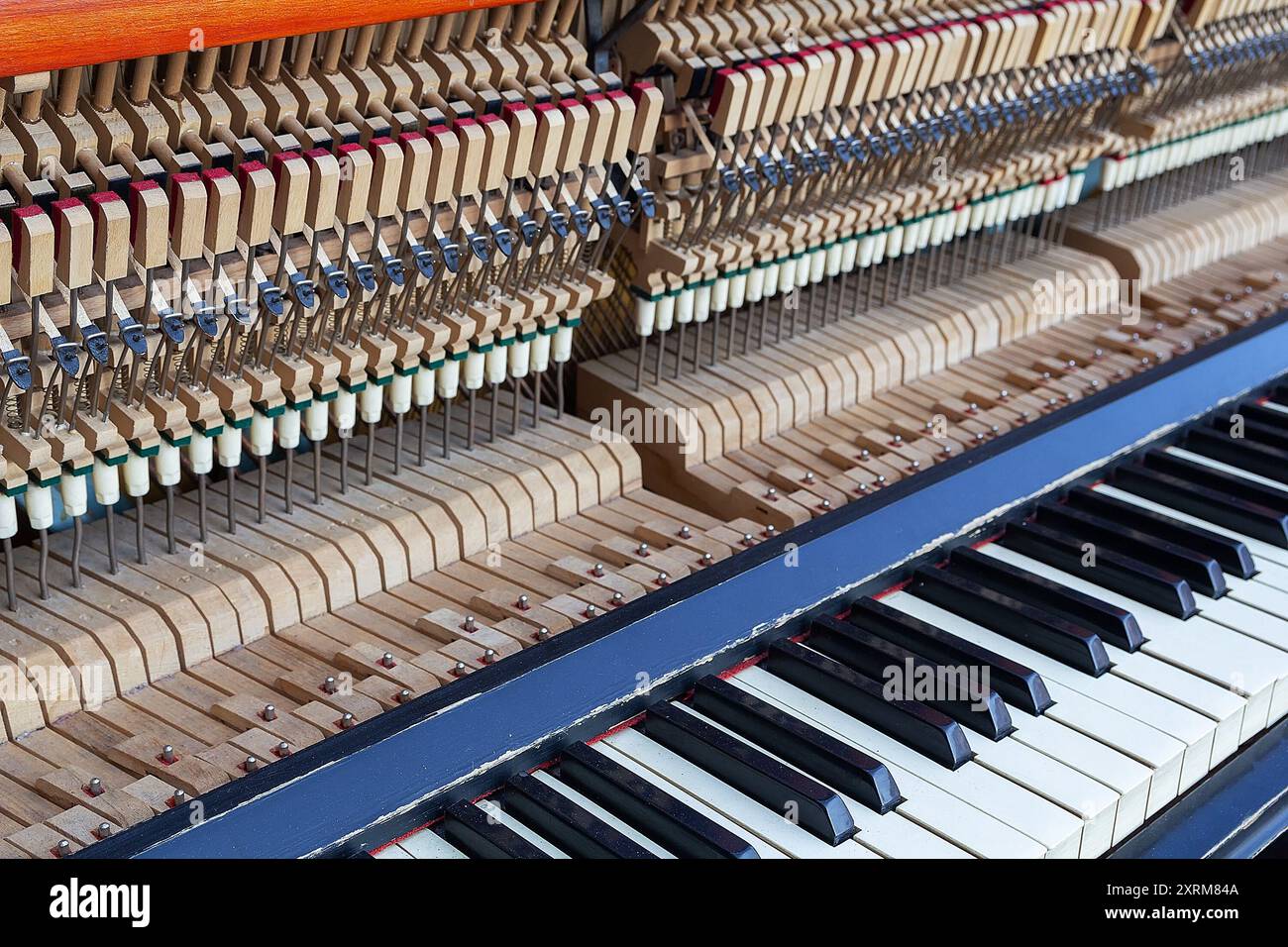 All'interno di un pianoforte con chiavi, corde, perni e martelli. Sfondo Foto Stock