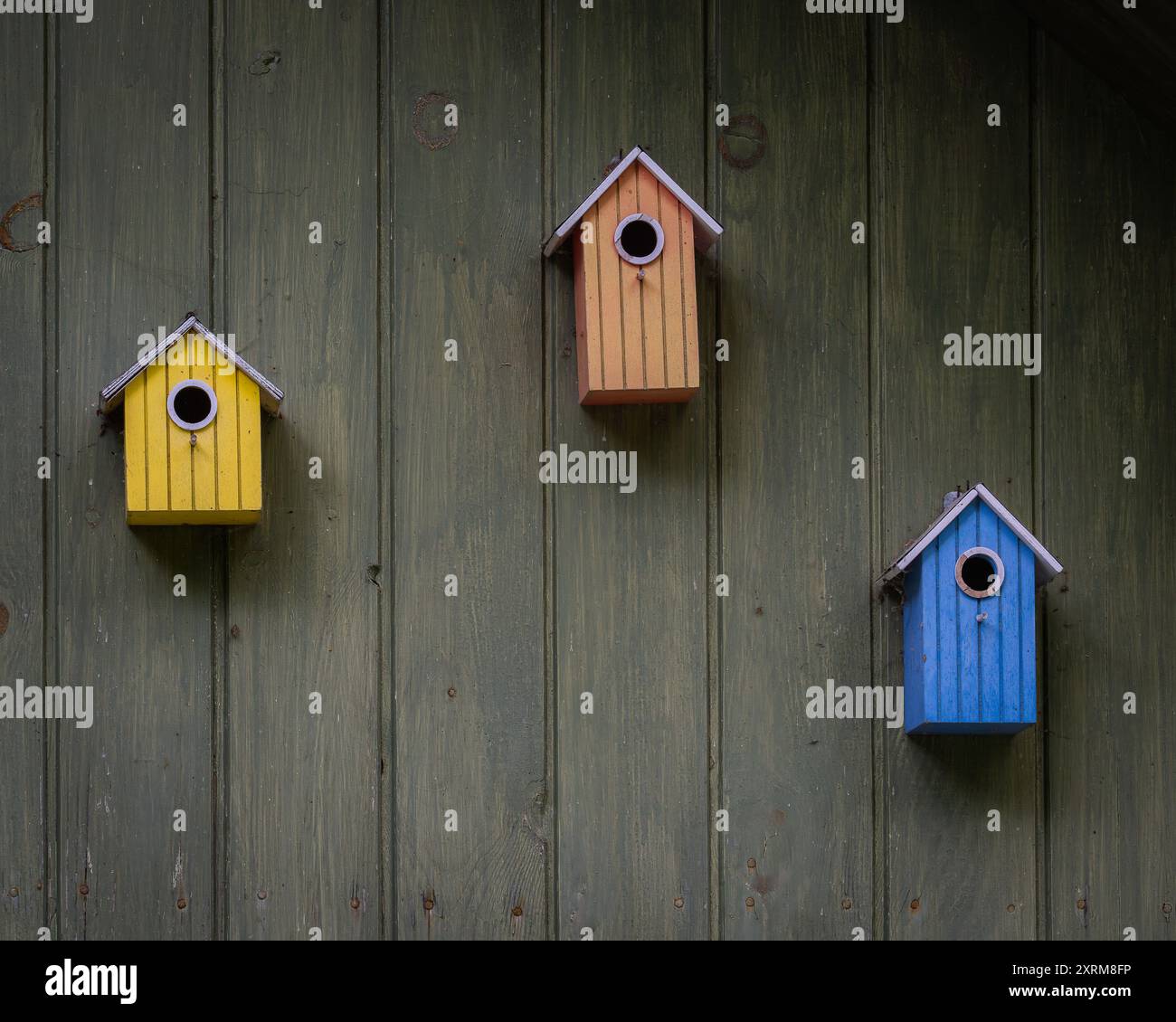 Sfondo con struttura in legno. Case per uccelli colorate sono appese su un muro di legno. Foto Stock