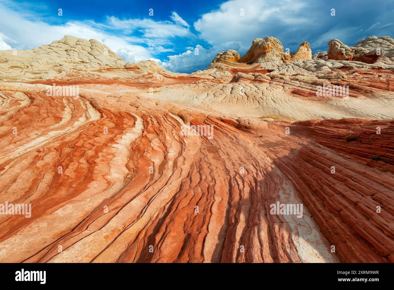 Splendida formazione rocciosa a White Pocket, Vermilion Cliffs National Monument, Arizona, Stati Uniti Foto Stock