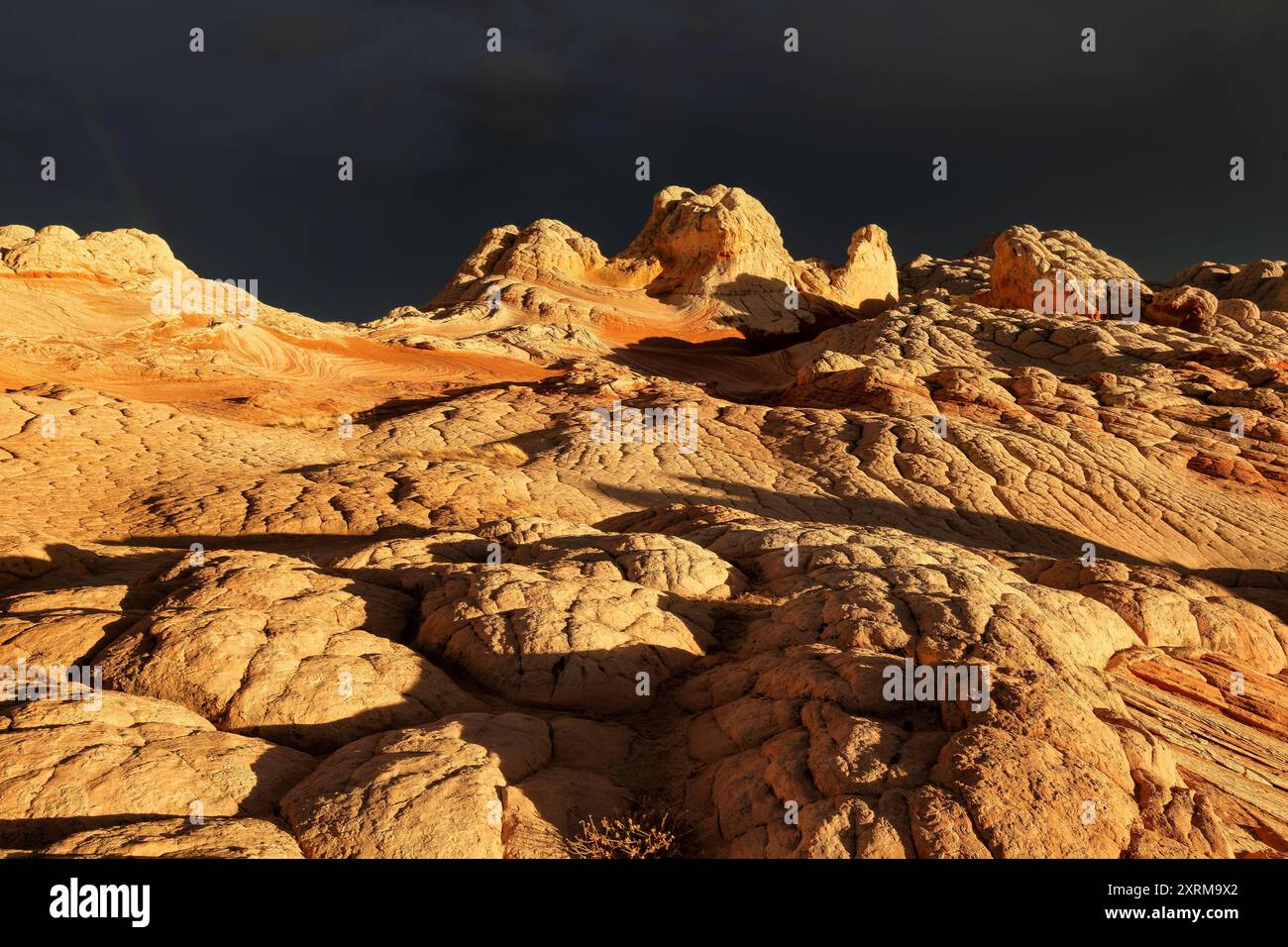 Tramonto sulla splendida formazione rocciosa di White Pocket, Vermilion Cliffs National Monument, Arizona, Stati Uniti Foto Stock