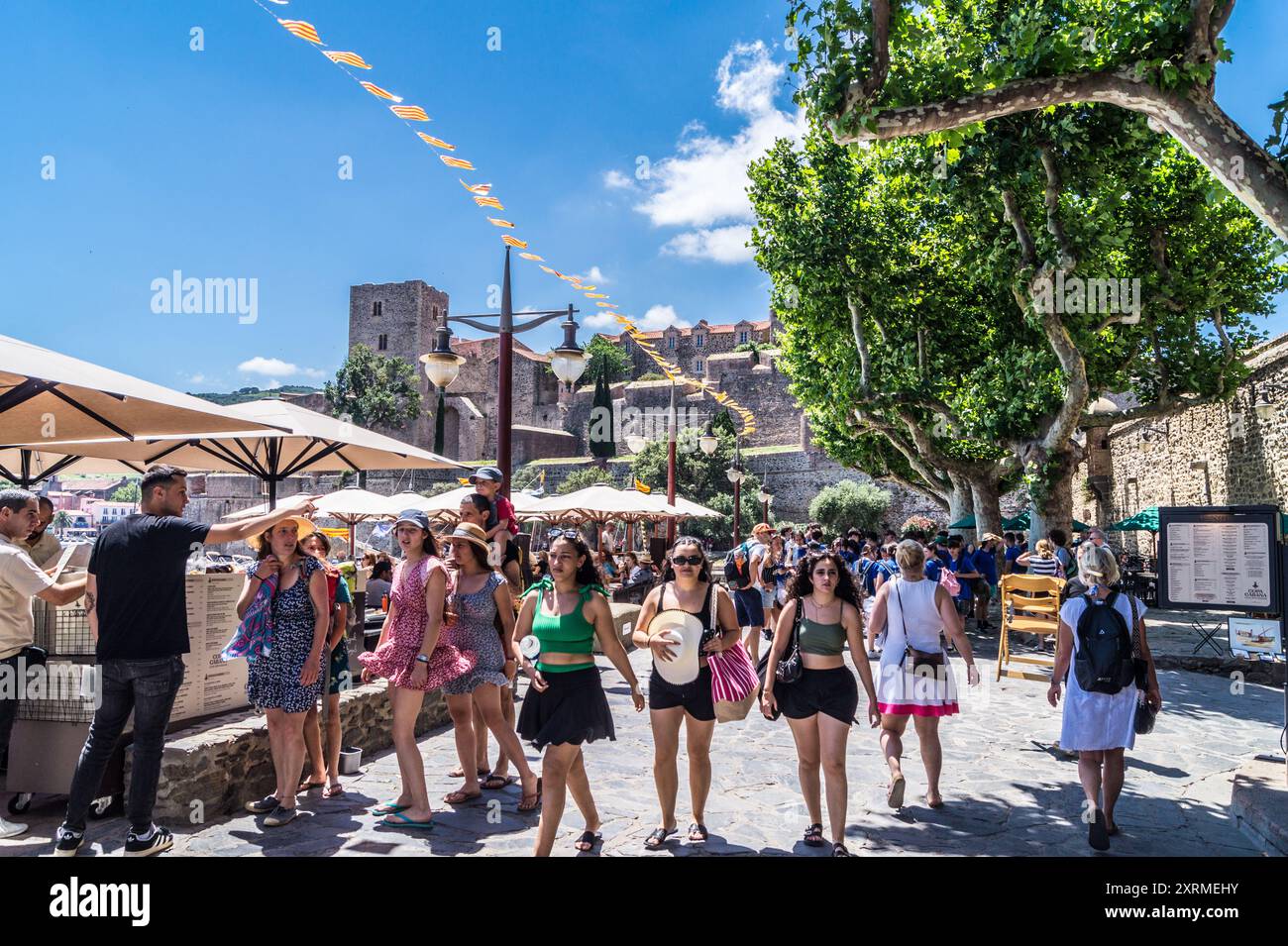 Un gruppo di giovani donne sul lungomare di Collioure, Côte Vermeille, Pyrénées Orientales, Occitanie, Francia Foto Stock