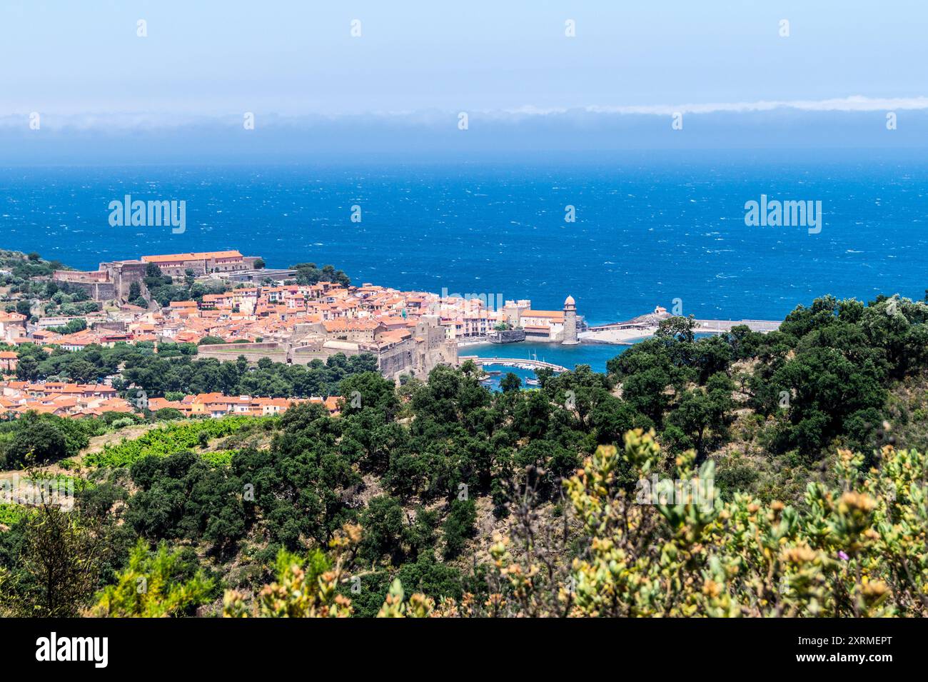 Collioure, dalle colline circostanti e dal Mar Mediterraneo, Côte Vermeille, Pyrénées Orientales, Occitanie, Francia Foto Stock