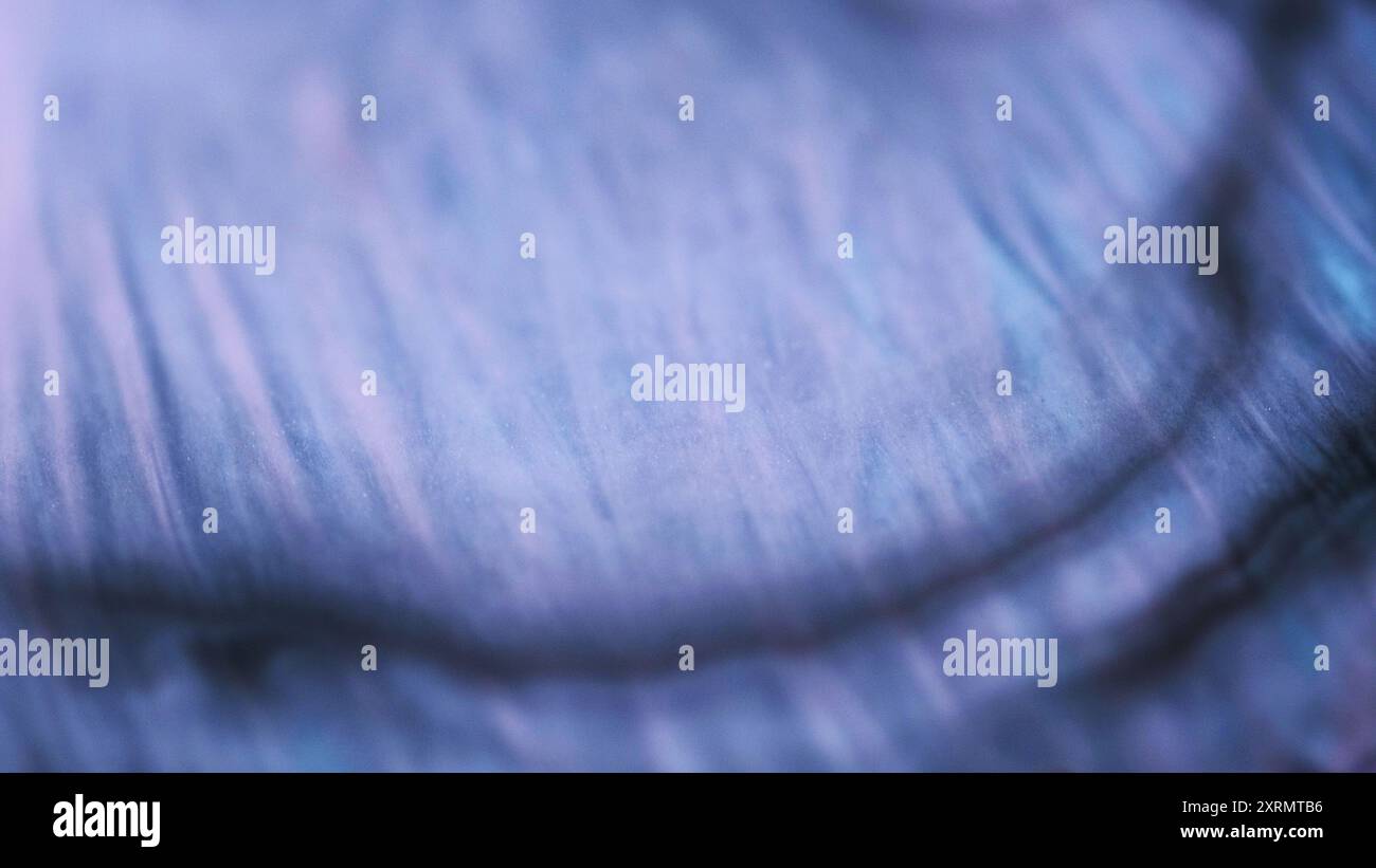 Onda glitter. Flusso dell'acqua di verniciatura. Colore blu viola sfocato texture lucente miscela fluida fuoriesce sfondo artistico astratto. Foto Stock