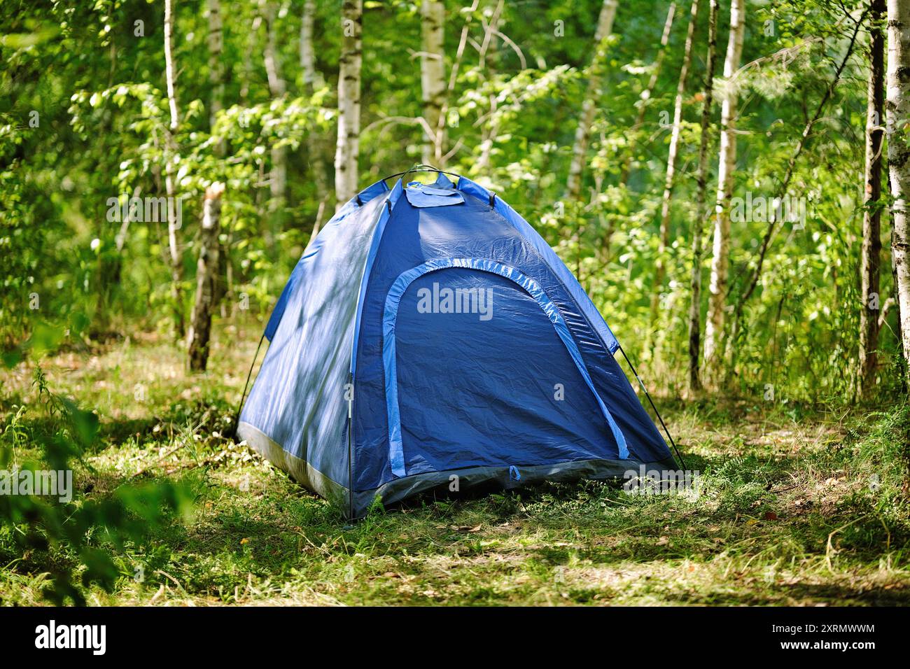 Tenda da campeggio nella foresta. Turismo relax e relax nelle vacanze estive. Campeggio all'aperto. Foto Stock