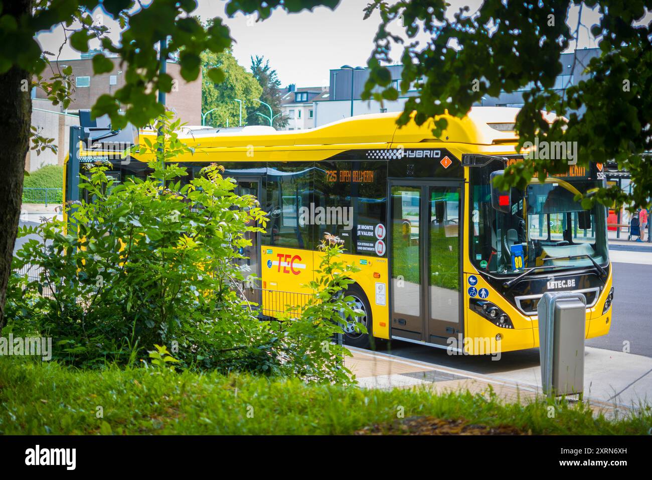 Eupen, Belgio, 6 agosto 2024: Vista su un autobus ibrido giallo di TEC, società di trasporto pubblico in Vallonia, Belgio Foto Stock