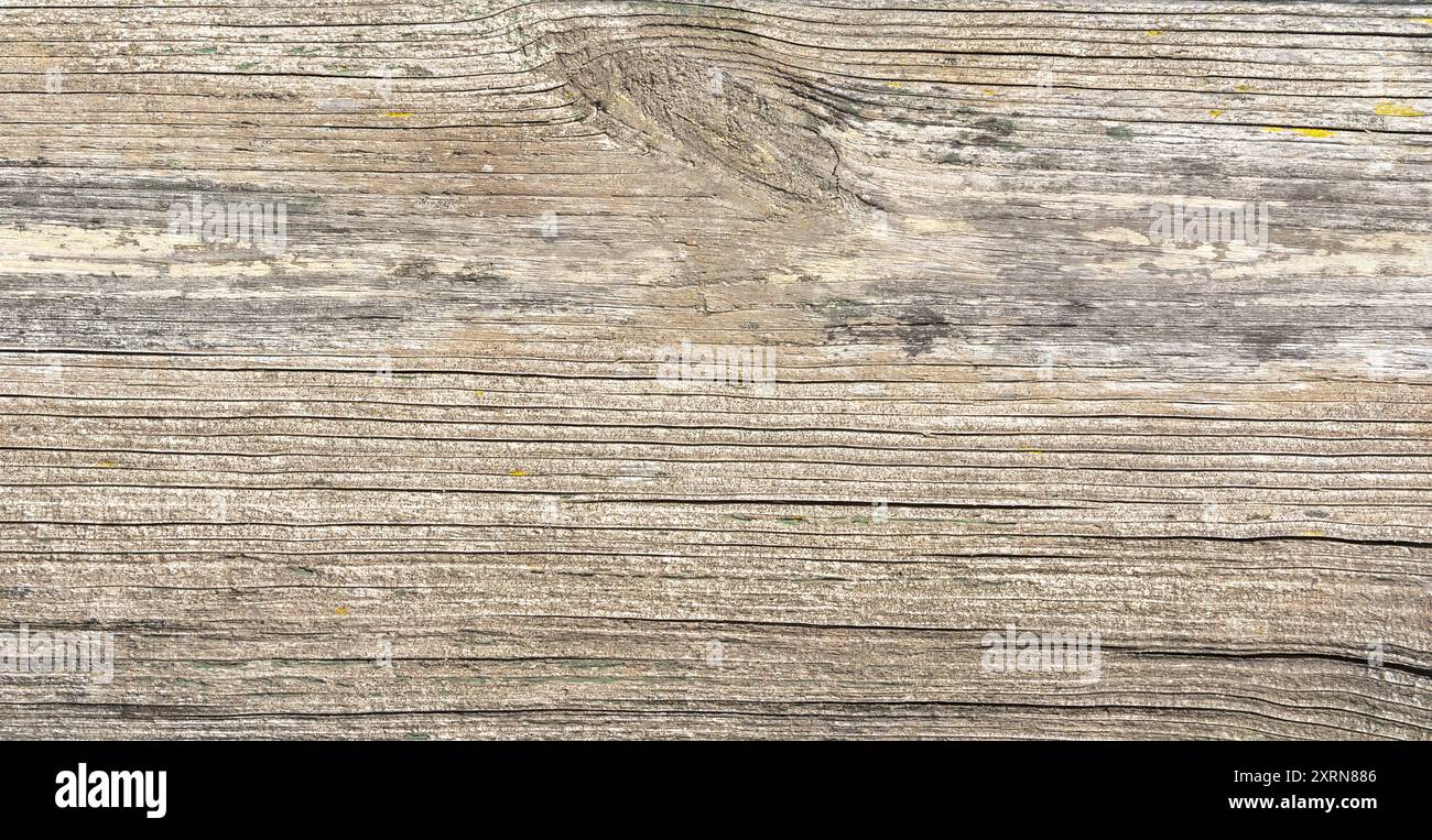 Vista su tavole in legno temprato con una texture rustica, che mostra motivi di grana naturali e sottili variazioni di colore Сlose. Foto Stock