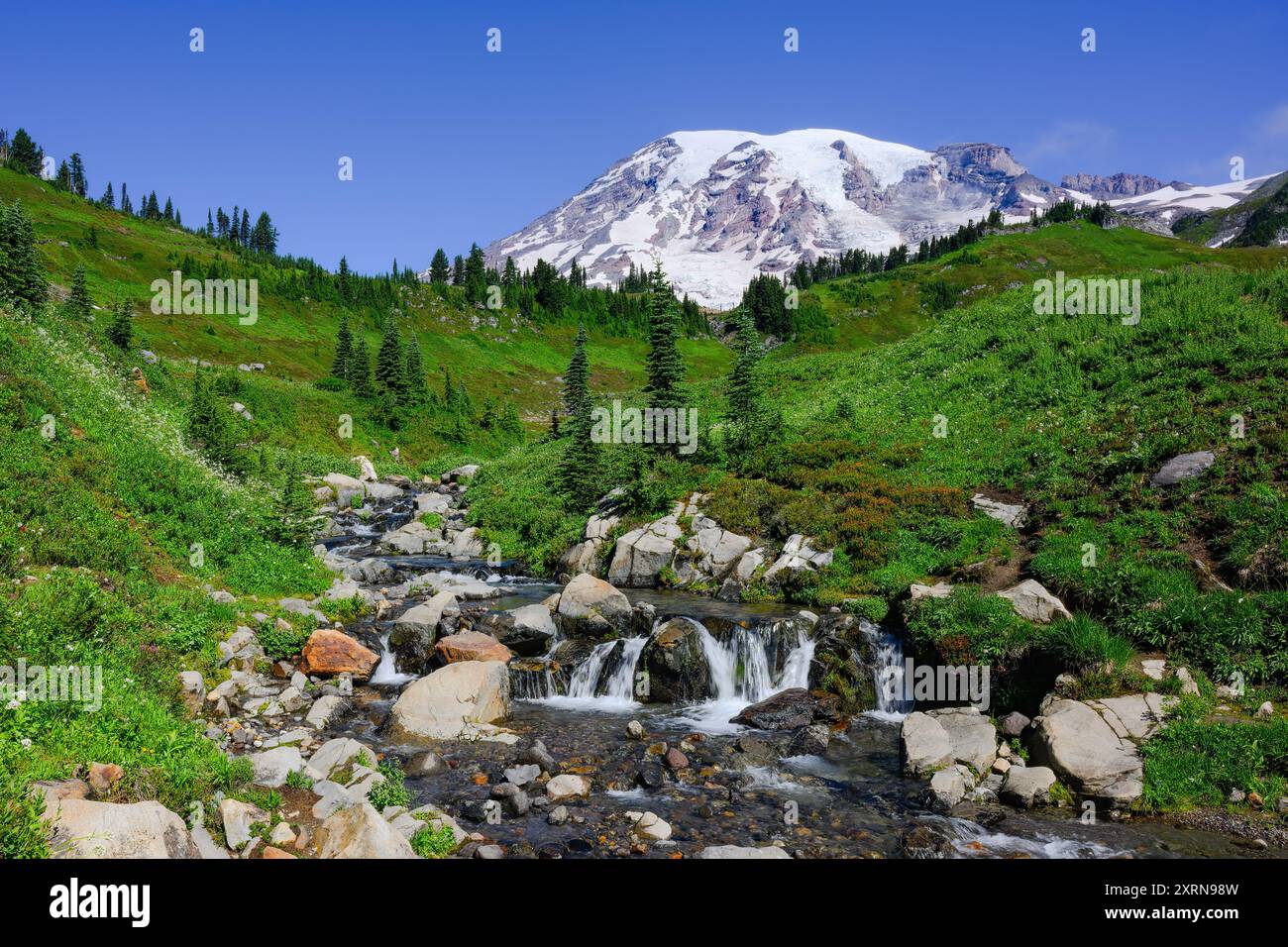 Edith Creek scorre attraverso il verde prato estivo di fronte al picco vulcanico del Monte Rainier Foto Stock