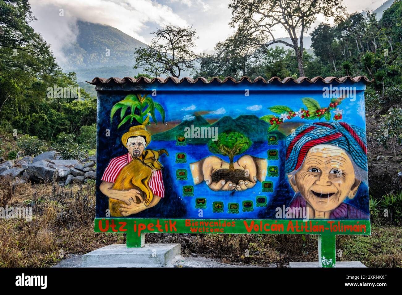 Bellissimi dipinti della popolazione locale, dell'agricoltura del caffè e del paesaggio vulcanico, con Volcan Atitlan sullo sfondo. Guatemala. Foto Stock