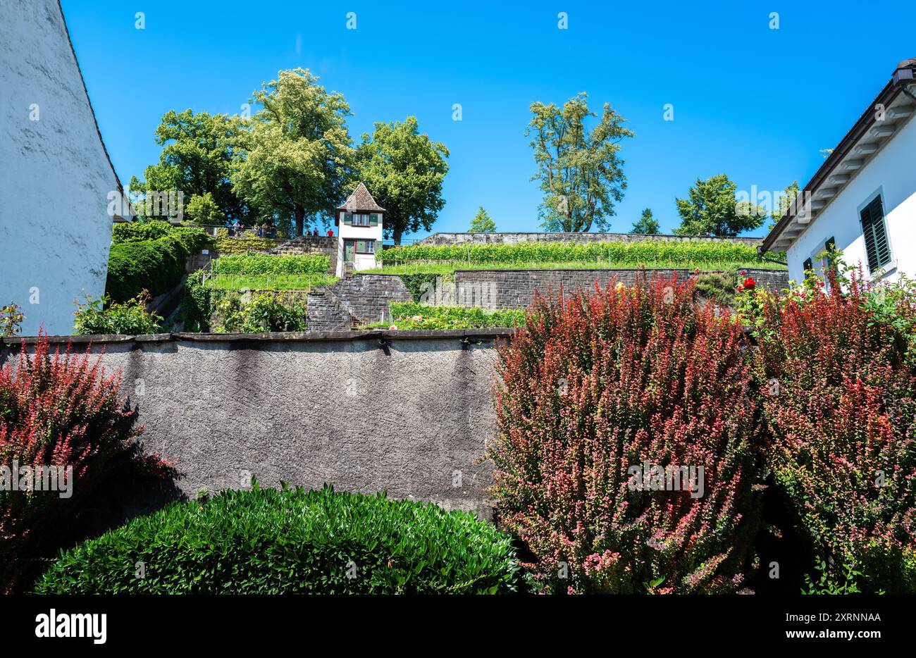 Rapperswil, Svizzera - 1 luglio 2024: Terrazze con muri in pietra, vegetazione, arbusti ornamentali e una piccola casa Foto Stock