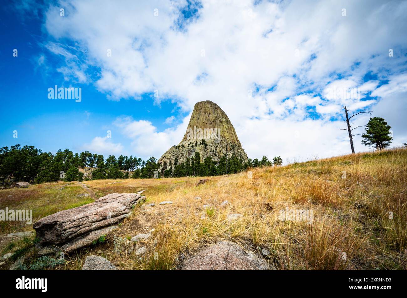 Devils Tower National Monument, Bear Lodge Red Rock Trail Foto Stock