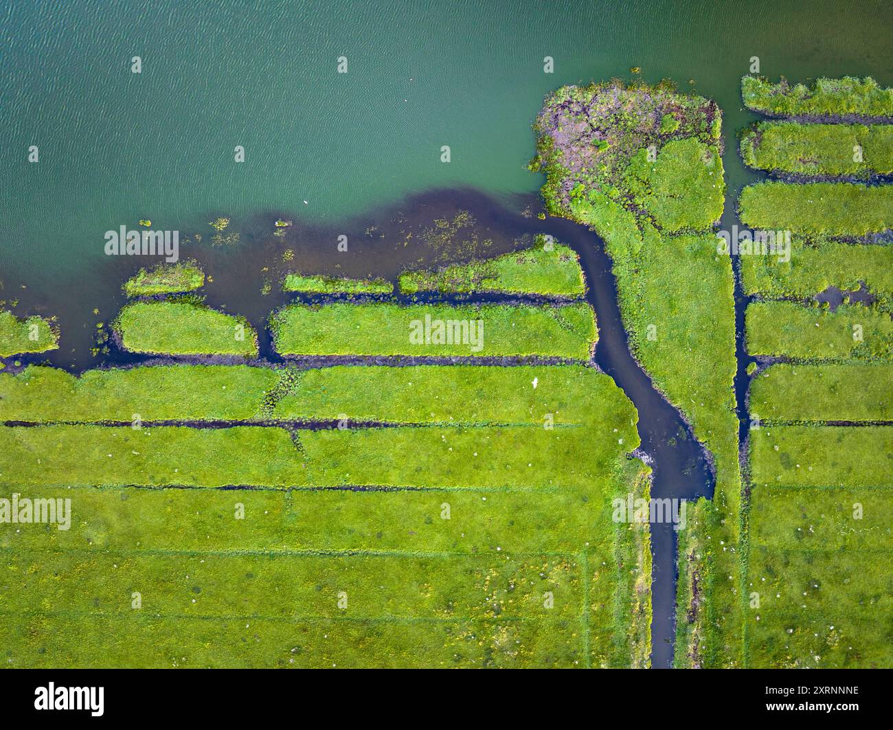 Vista aerea delle zone umide lungo Løgstør Bredning, nel nord dello Jutland, Danimarca Foto Stock