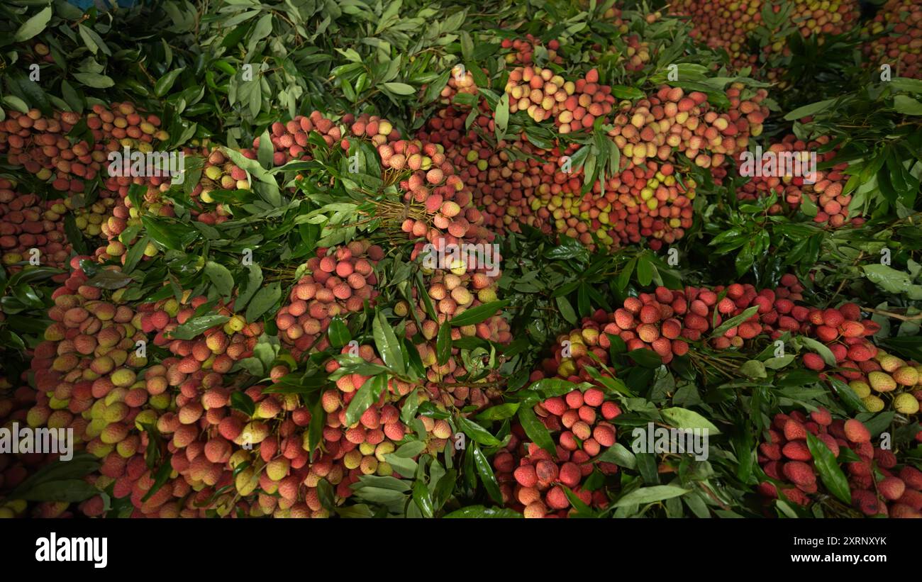 Litchi maturi, pronti per la vendita sul mercato. Colori vivaci e frutta dolce succulenta. Lychee, litchi Foto Stock