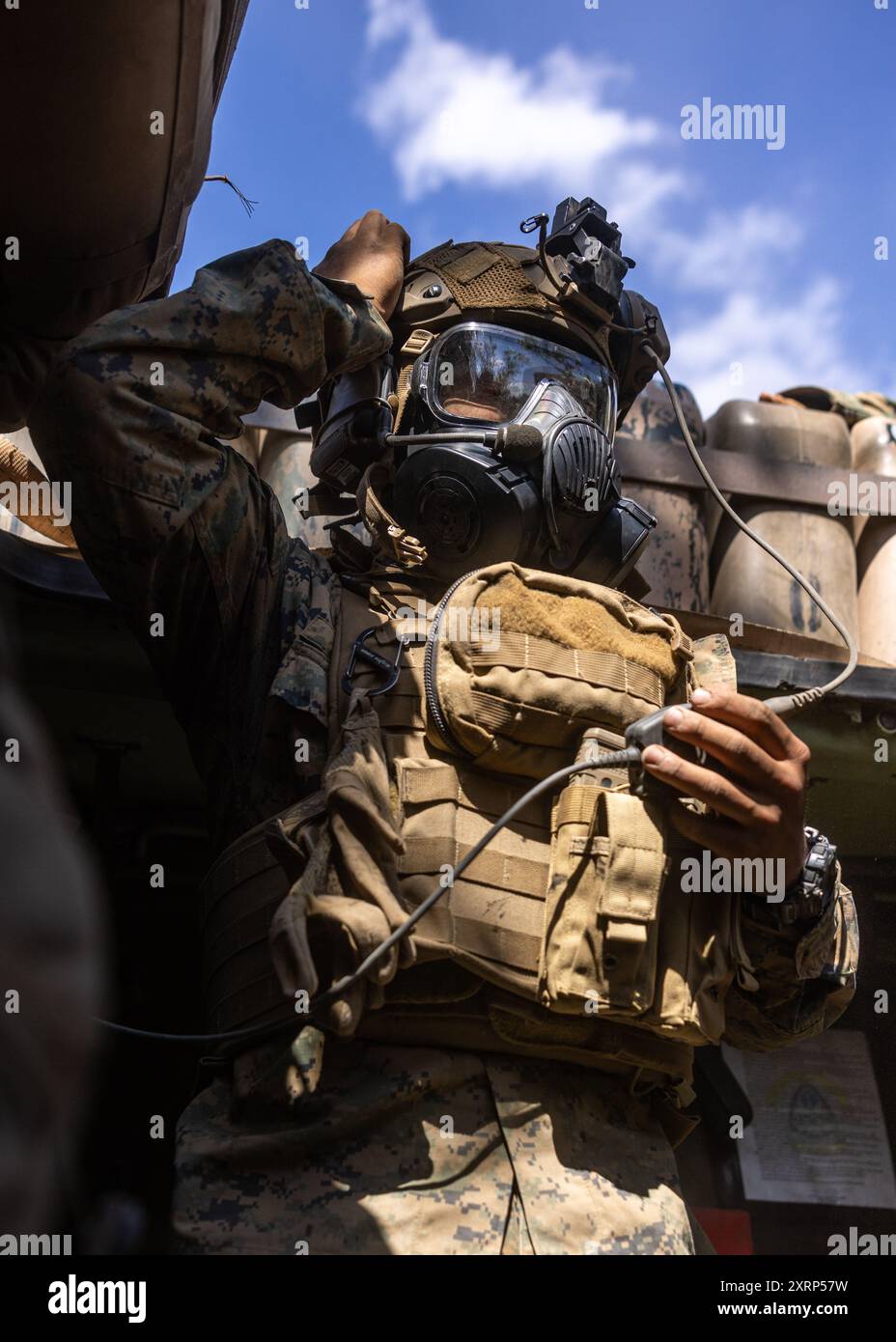 Sottufficiale della Marina degli Stati Uniti di terza classe Dylan-Andre Ang, un corpsman con Alpha Company, 1st Light Armored Reconnaissance Battalion, 1st Marine Division, indossa una maschera antigas M50 durante un attacco simulato di gas come parte di un'esercitazione combinata di fuoco vivo di armi durante l'esercitazione Predator's Run 24 presso Mount Bundey Training area, NT, Australia, 5 agosto 2024. Durante il Rapid Deployment Exercise, il 1st LAR si schierò rapidamente dal Marine Corps base Camp Pendleton, California, Stati Uniti, in Australia con un ascensore strategico e una ferrovia per partecipare alla 1st Brigade, l'esercito australiano ha guidato, esercitazione Predator's Run 24. Esercizio Predator's r Foto Stock