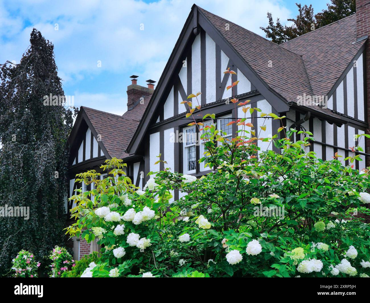 Casa in stile Tudor con ortensie Foto Stock
