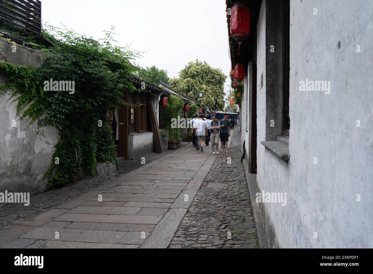 Suzhou, Cina - 11 giugno 2024: Una stretta strada fiancheggiata da tradizionali edifici imbiancati a Suzhou, Cina, con lanterne rosse appese e pav in pietra Foto Stock